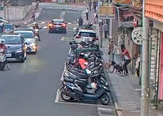 犬隻力氣大，能將綁在機車把手上的牽繩扯落。（北市動保處提供）