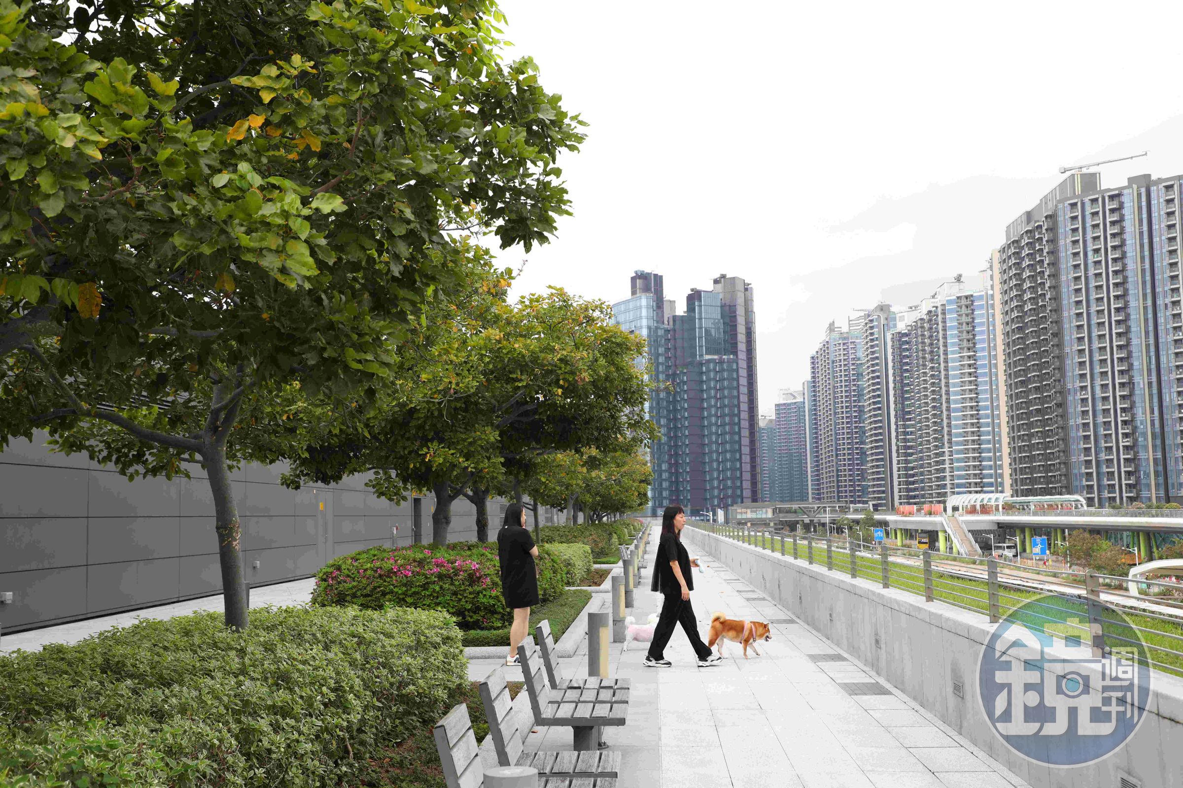 啟德郵輪碼頭屋頂公園是香港最大的屋頂花園之一。