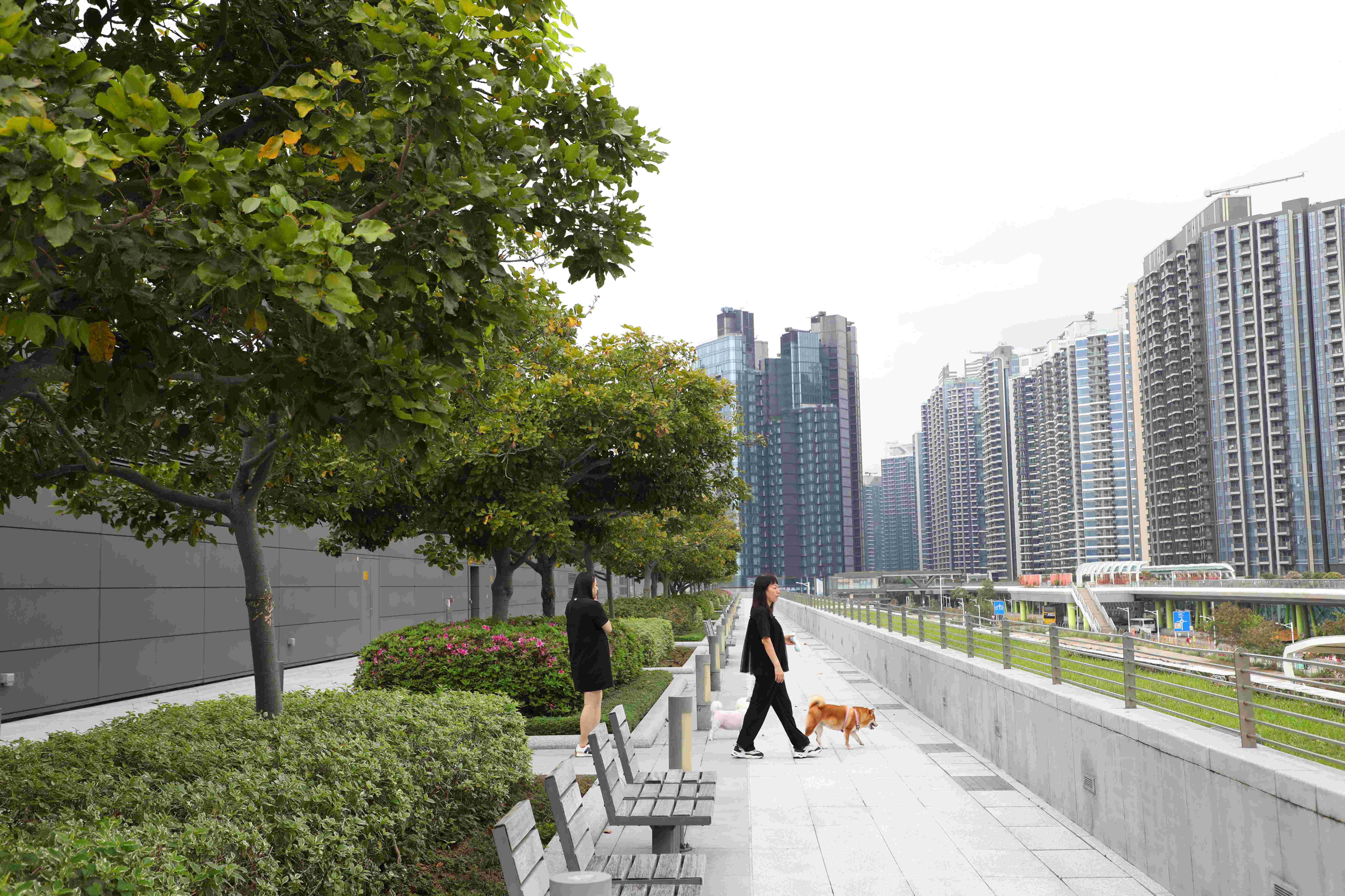 啟德郵輪碼頭屋頂公園是香港最大的屋頂花園之一。