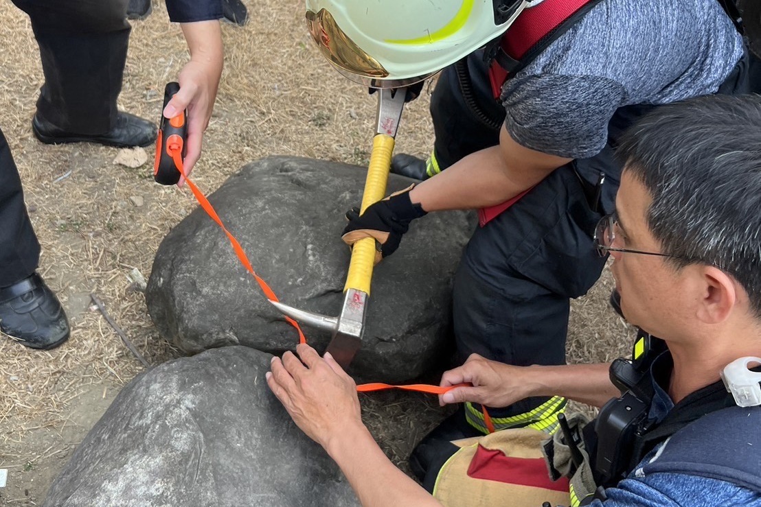 高雄一名女子牽寵物狐獴散步，未料繩索卡石縫，蔡心急下報警，警消到場發現只是繩索，協助脫困。（翻攝畫面）