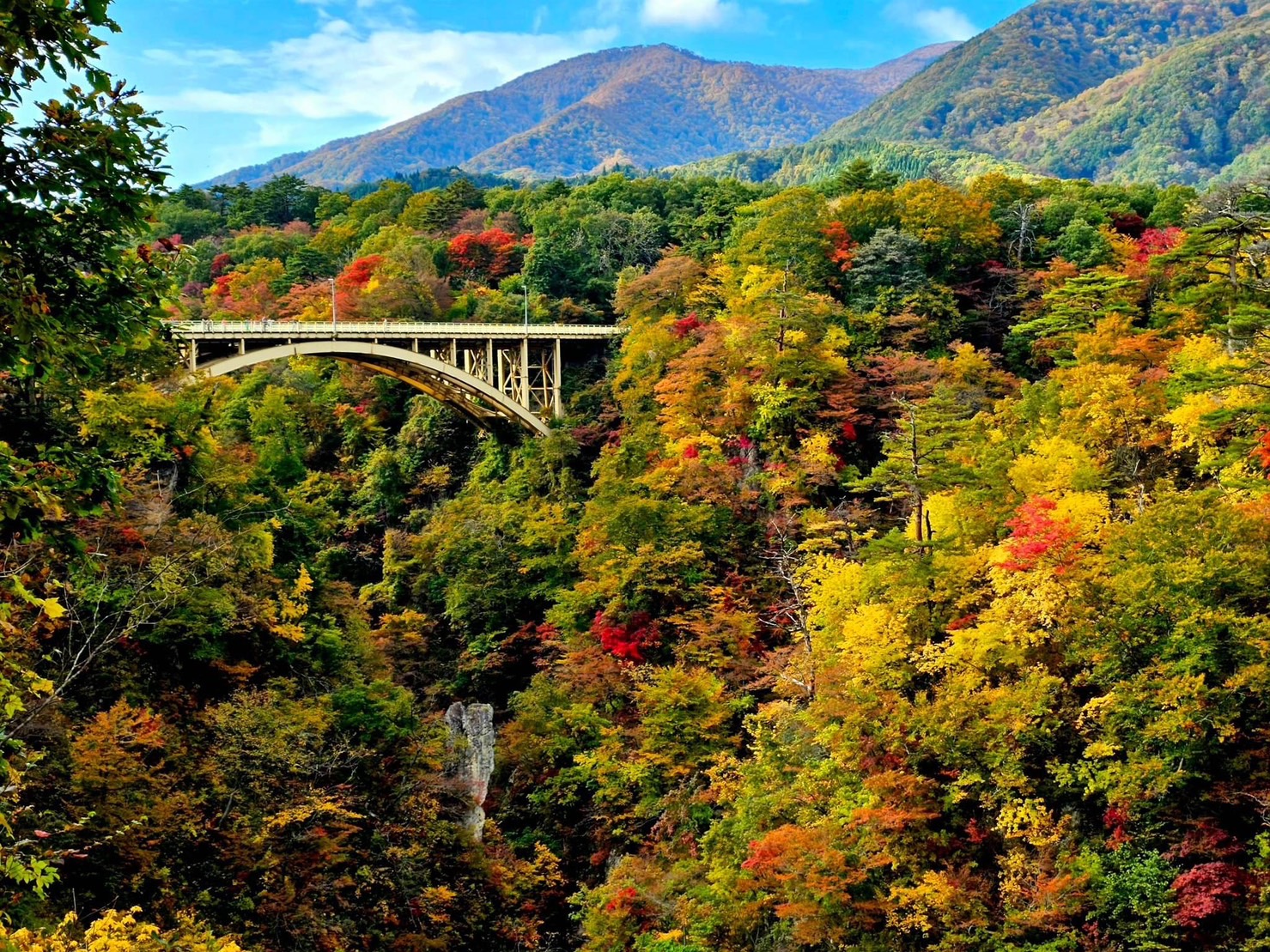 宮城縣最美的賞楓勝地「鳴子峽」楓葉已轉色。（世邦旅遊提供）
