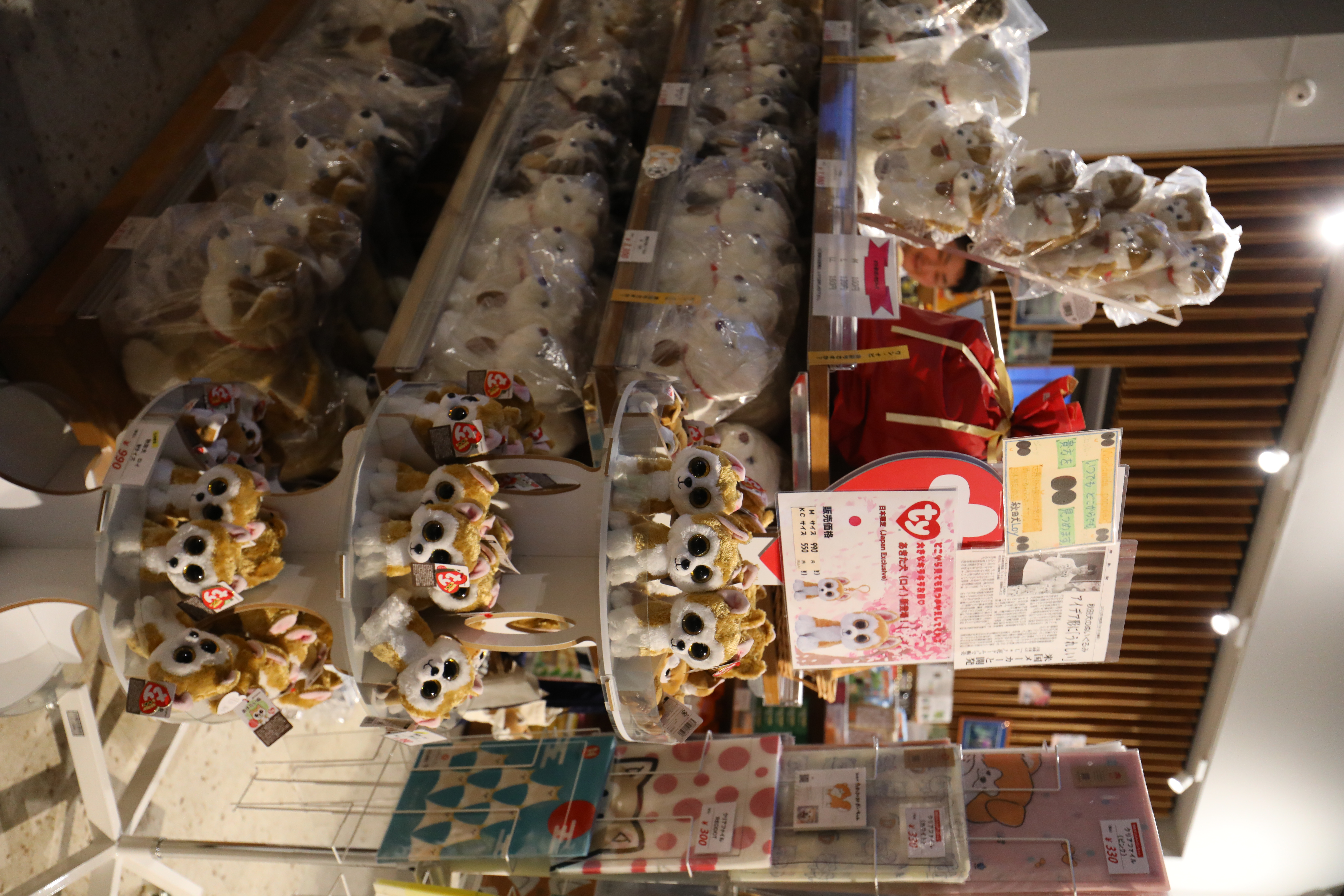 日本限定版的Loy秋田犬玩偶。