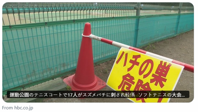 北海道正舉辦的網球比賽，相關人員卻遭蜂群攻擊。（翻攝自X@HBCnewsJNN）