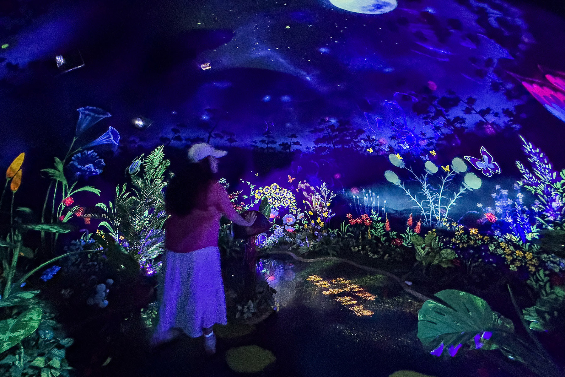 在DMZ生動體驗館，以VR與投影互動體驗，讓歷史與生態以嶄新方式呈現。