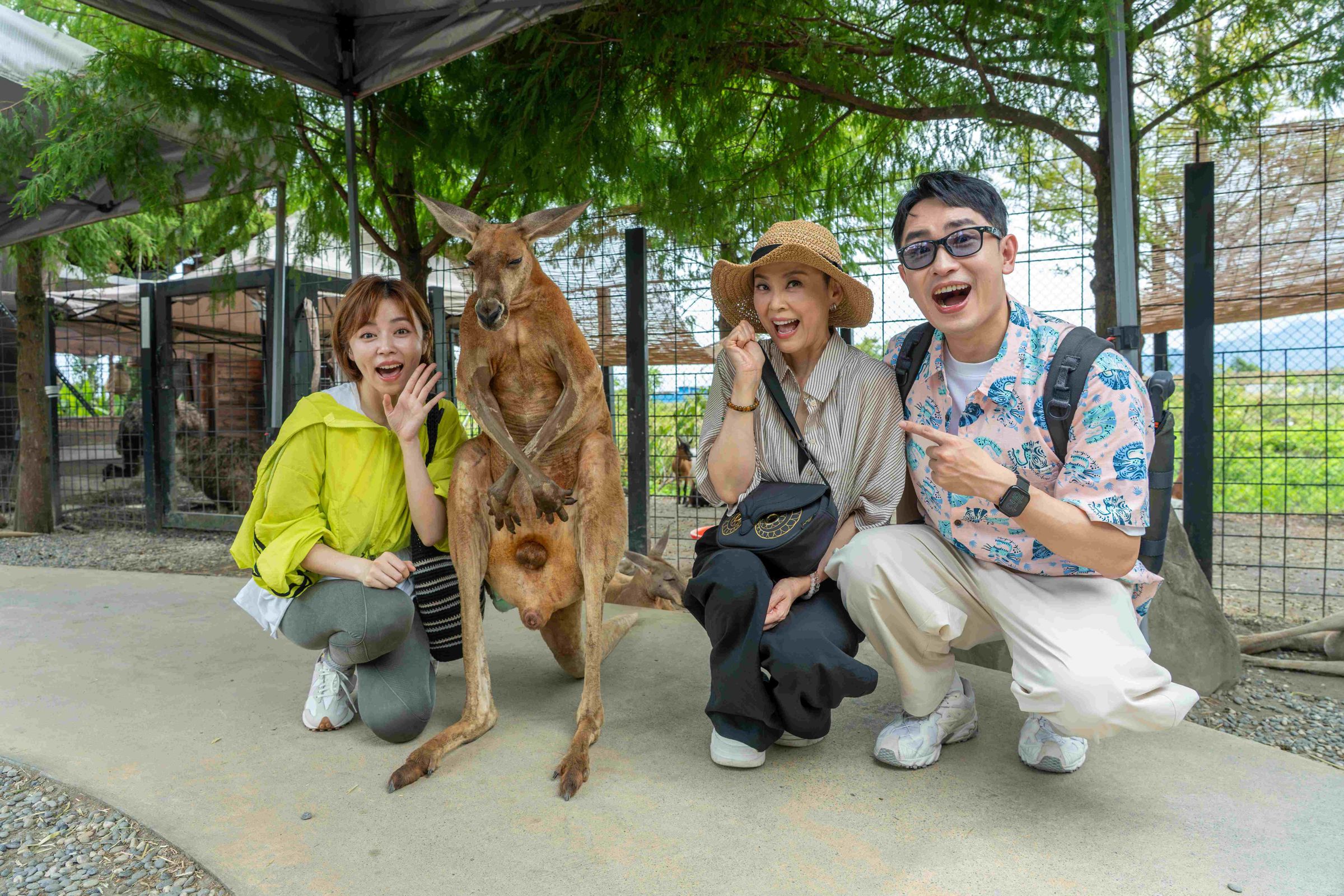 王瞳（左起）、方馨、陳謙文挑戰摸袋鼠蛋蛋。（圖／東森綜合台提供）