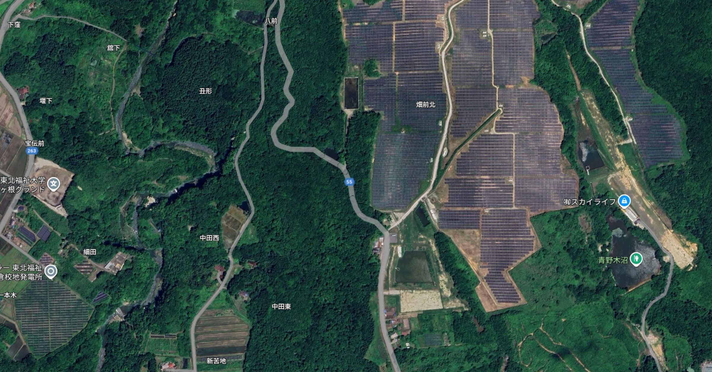 宮城縣仙台市55縣道上今發生一起6旬男騎自行車與小熊相撞的事故。(翻攝自Google Maps)