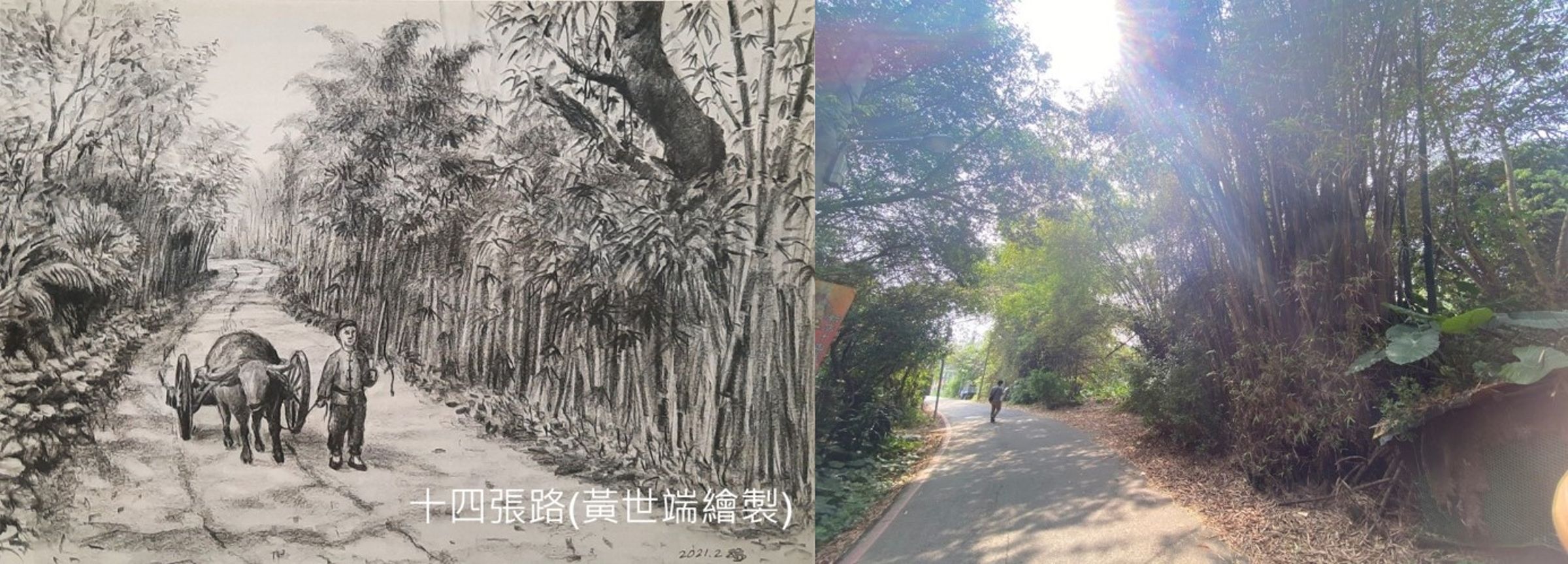 十四張的民生路(舊名十四張路),當時乃是為了防禦昔日盜匪,造就其古道彎曲的特色,也是現今新店僅存的特色道路。左圖為民生路古道早期影像繪製圖(新店文史館「再現十四張藜閣留輝風華文件展」提供),右圖為民生路古道、刺竹林現況照。