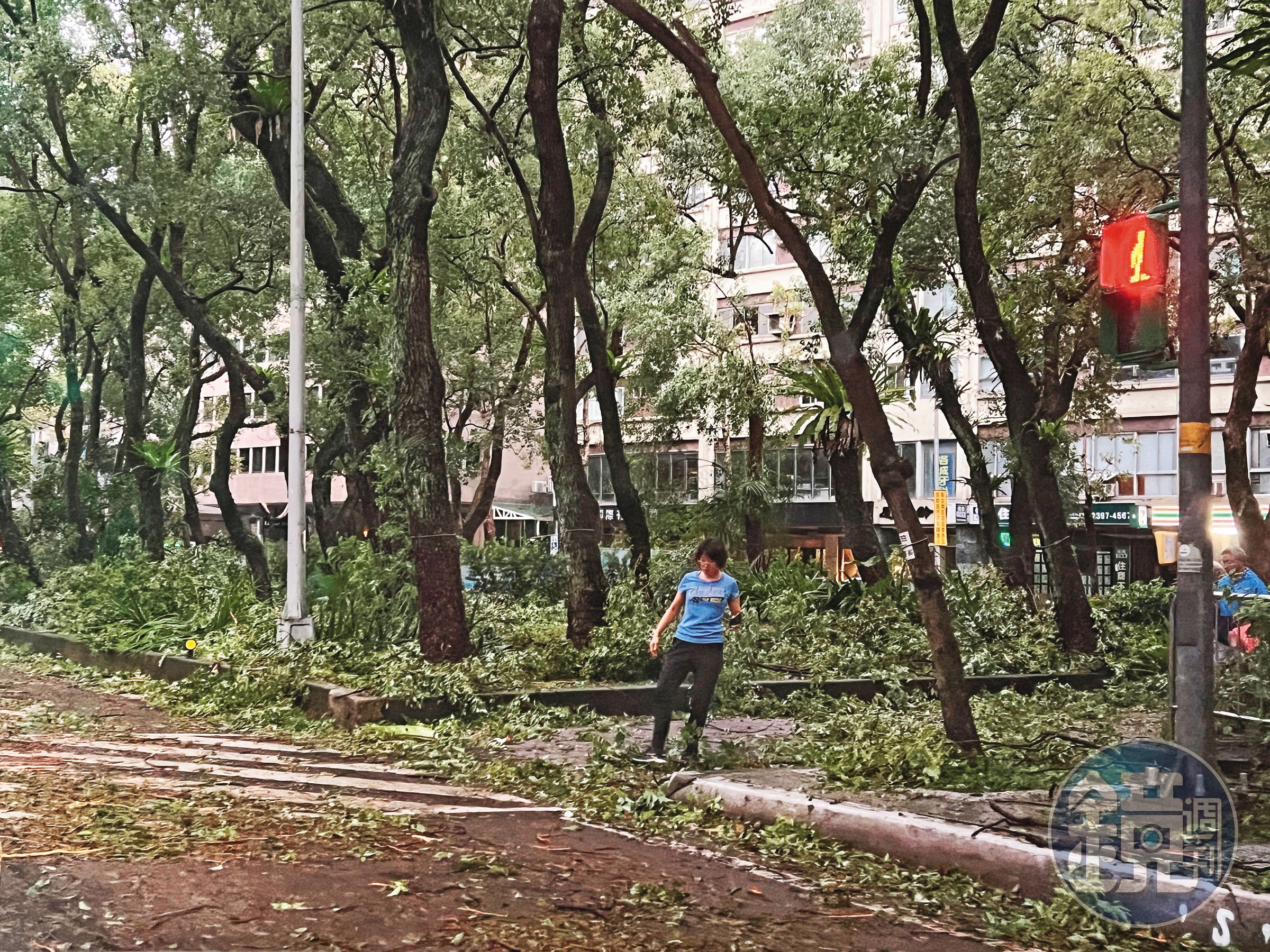 康芮颱風來襲,台北市大批路樹斷裂、傾倒,市容一時難以恢復。
