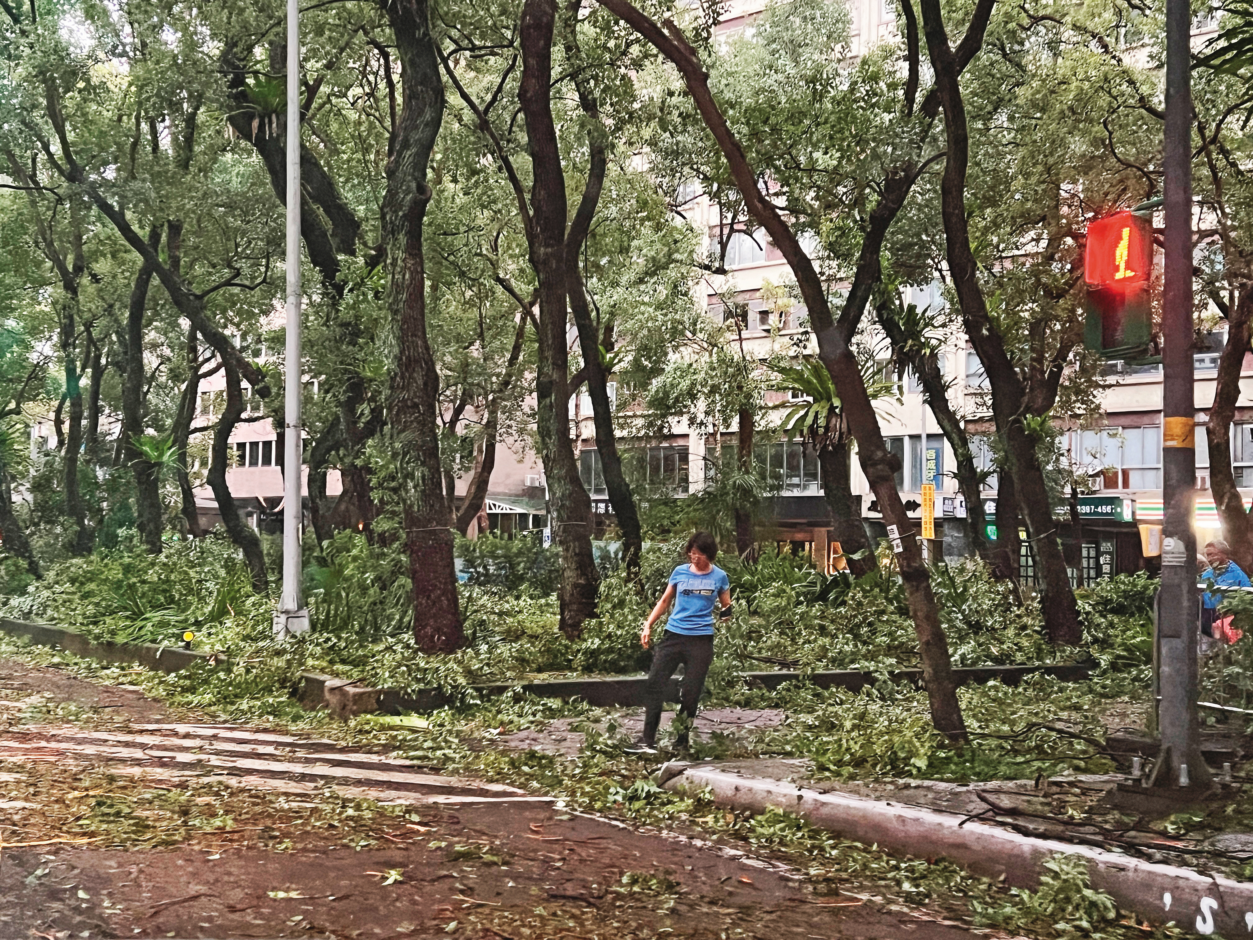 康芮颱風來襲，台北市大批路樹斷裂、傾倒，市容一時難以恢復。
