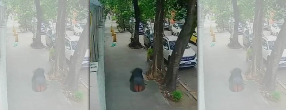 巴西一名女子走在人行道上，卻不慎摔入排水溝。（翻攝自IG@mbnoticiasve）