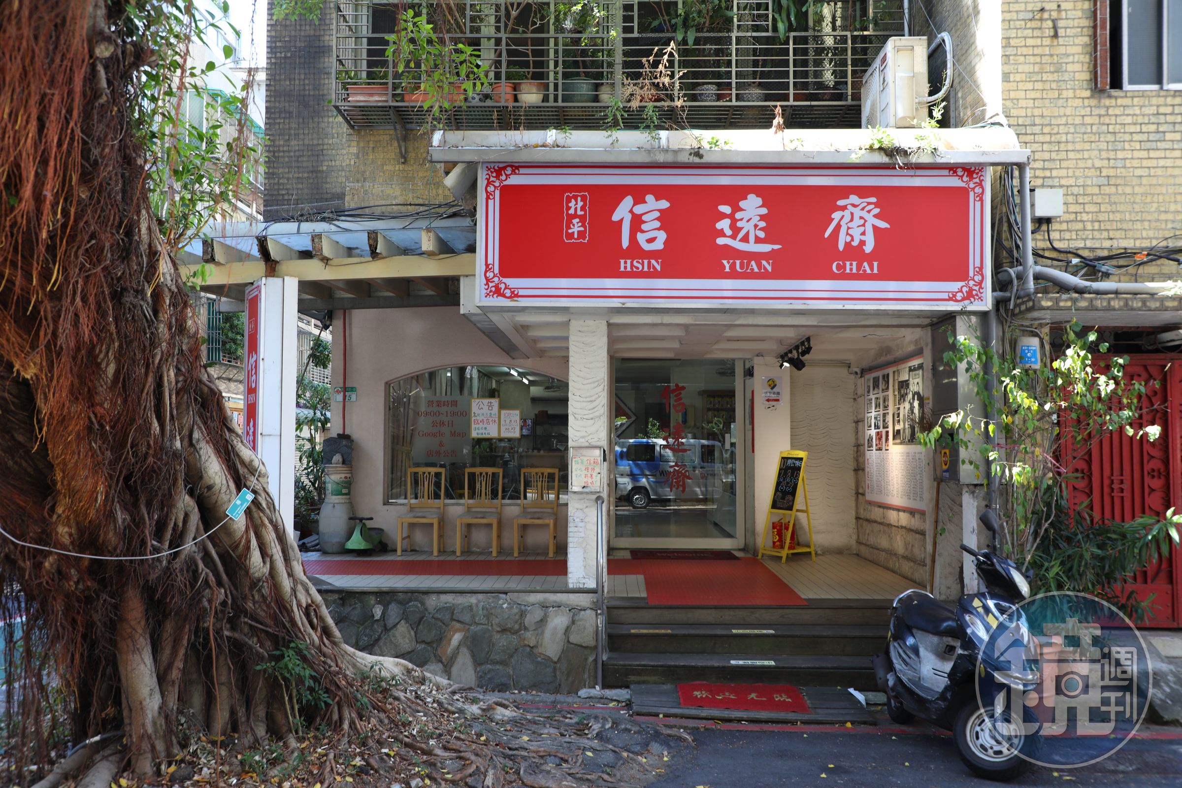 「信遠齋」的門口有一棵老樹，與老店互相輝映。