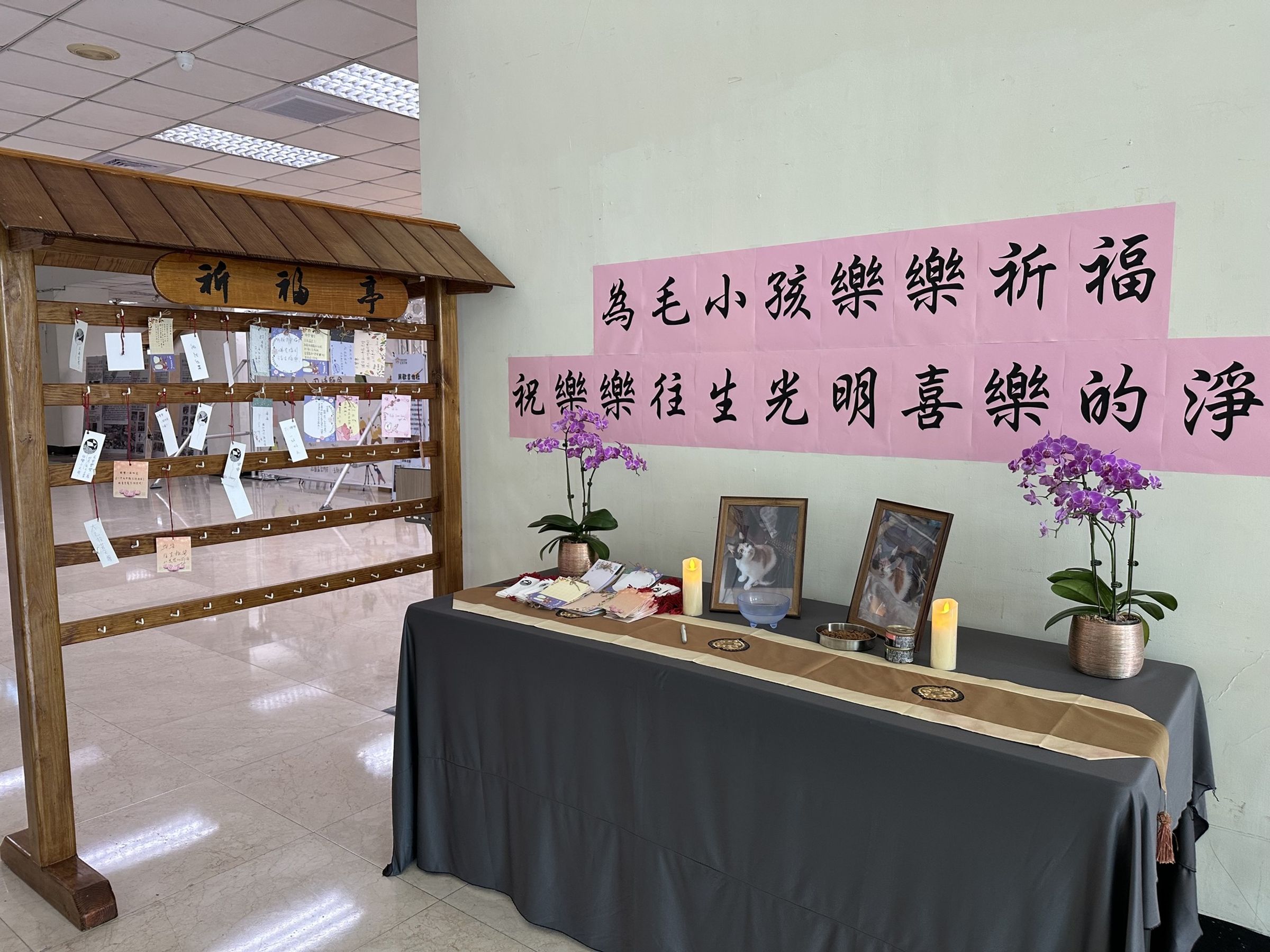 玄奘大學在圖書資訊大樓1樓為毛孩樂樂設置祈福亭。(翻攝自玄奘大學臉書)