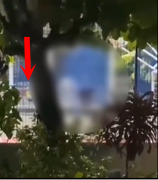 現場剛好有一名黃衣小孩經過。（翻自infobae.com）