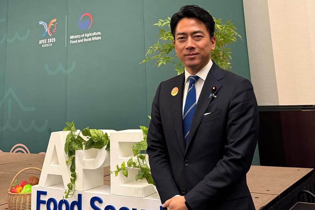 若此次挑戰成功，小泉進次郎將有機會成為日本最年輕首相。（翻攝自小泉進次郎IG）