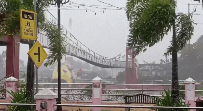 甘馬瑞尼斯省卡馬利干鎮的一座吊橋，被鳳凰颱風吹到不停搖晃。（翻攝X@volcaholic1）