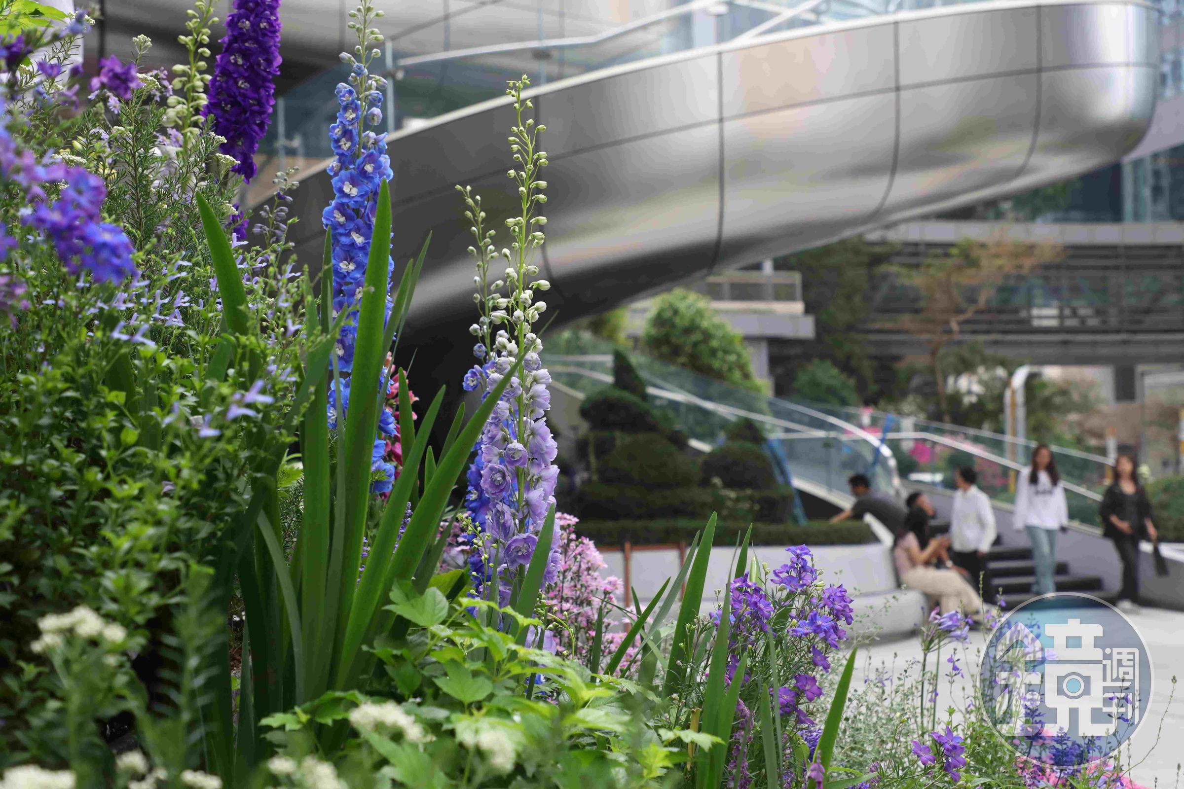 「Art Garden」花木扶疏,經常有市民在此休憩。