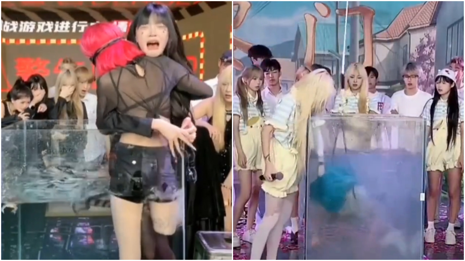 中國千萬網紅爆虐女主播，強迫「與鱷魚同缸」全網嚇壞。（翻攝微博）