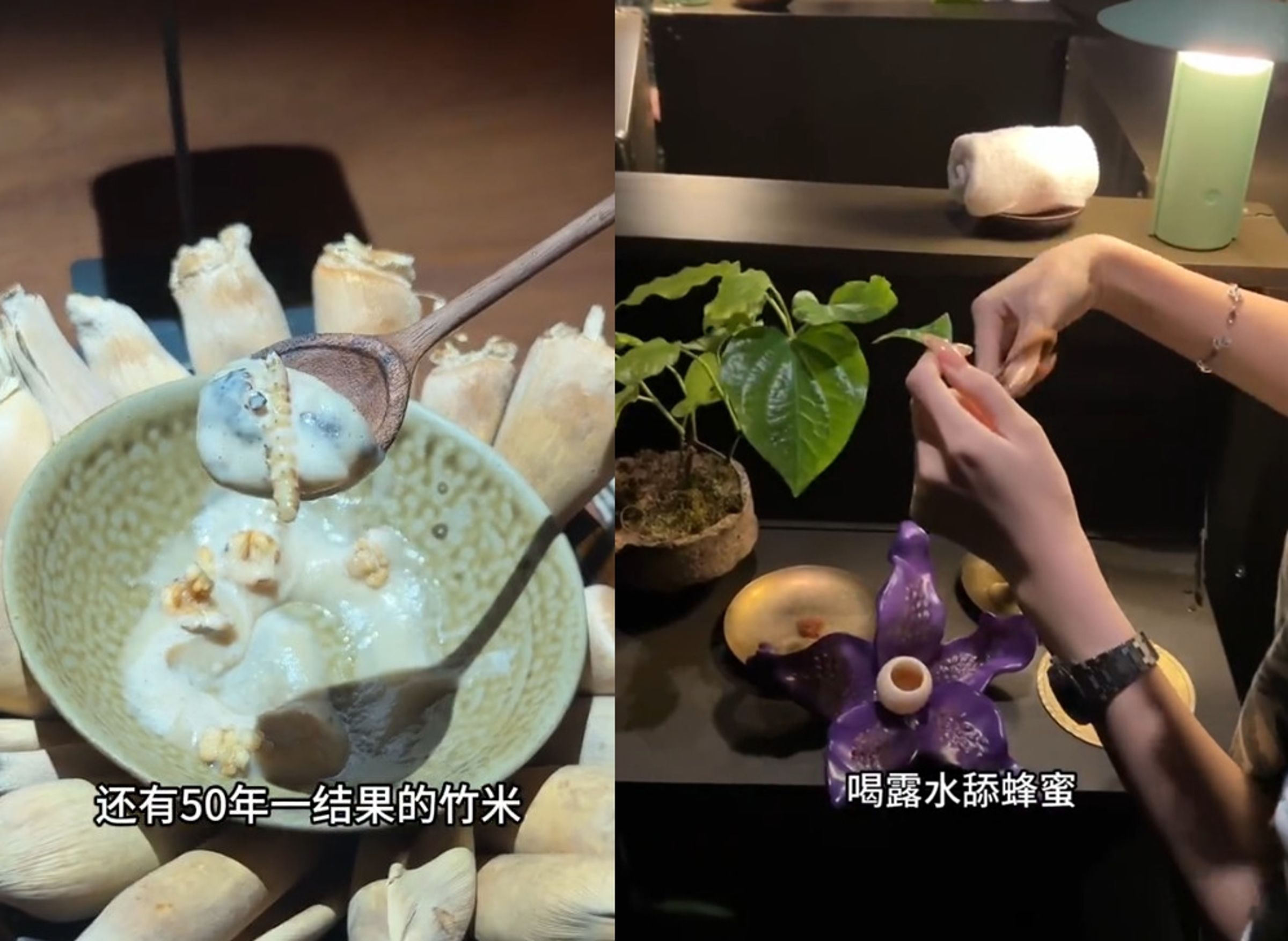 體驗過的顧客表示菜色包含吃樹葉與竹蟲等特色料理。(翻攝微博)