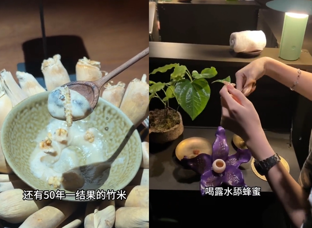 體驗過的顧客表示菜色包含吃樹葉與竹蟲等特色料理。（翻攝微博）