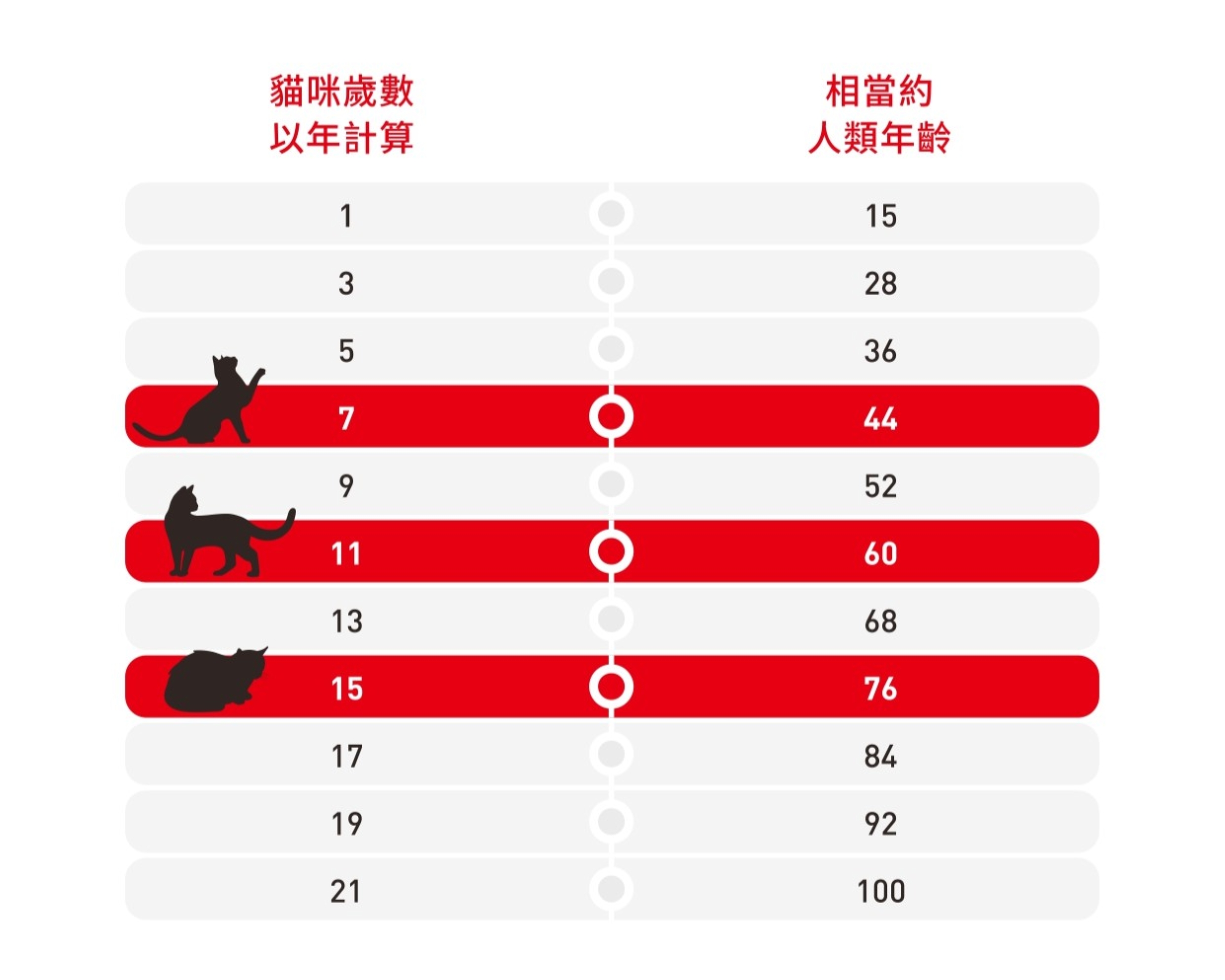 寵物一年不等於人類一年，貓咪老化多半是循序漸進，自七歲起就需要依照不同階段調整照護方式。（法國皇家提供）