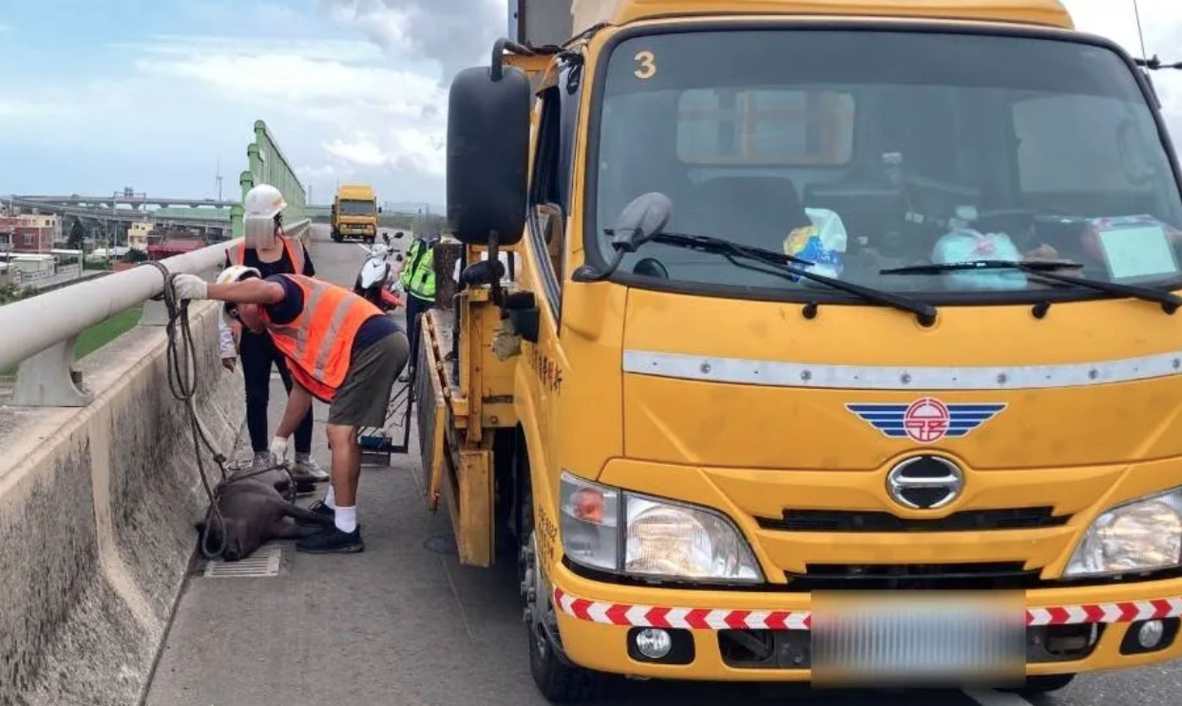 民眾在快速道路上驚見一隻小黑豬在車道上趴趴走，連忙報警處理。（翻攝畫面）
