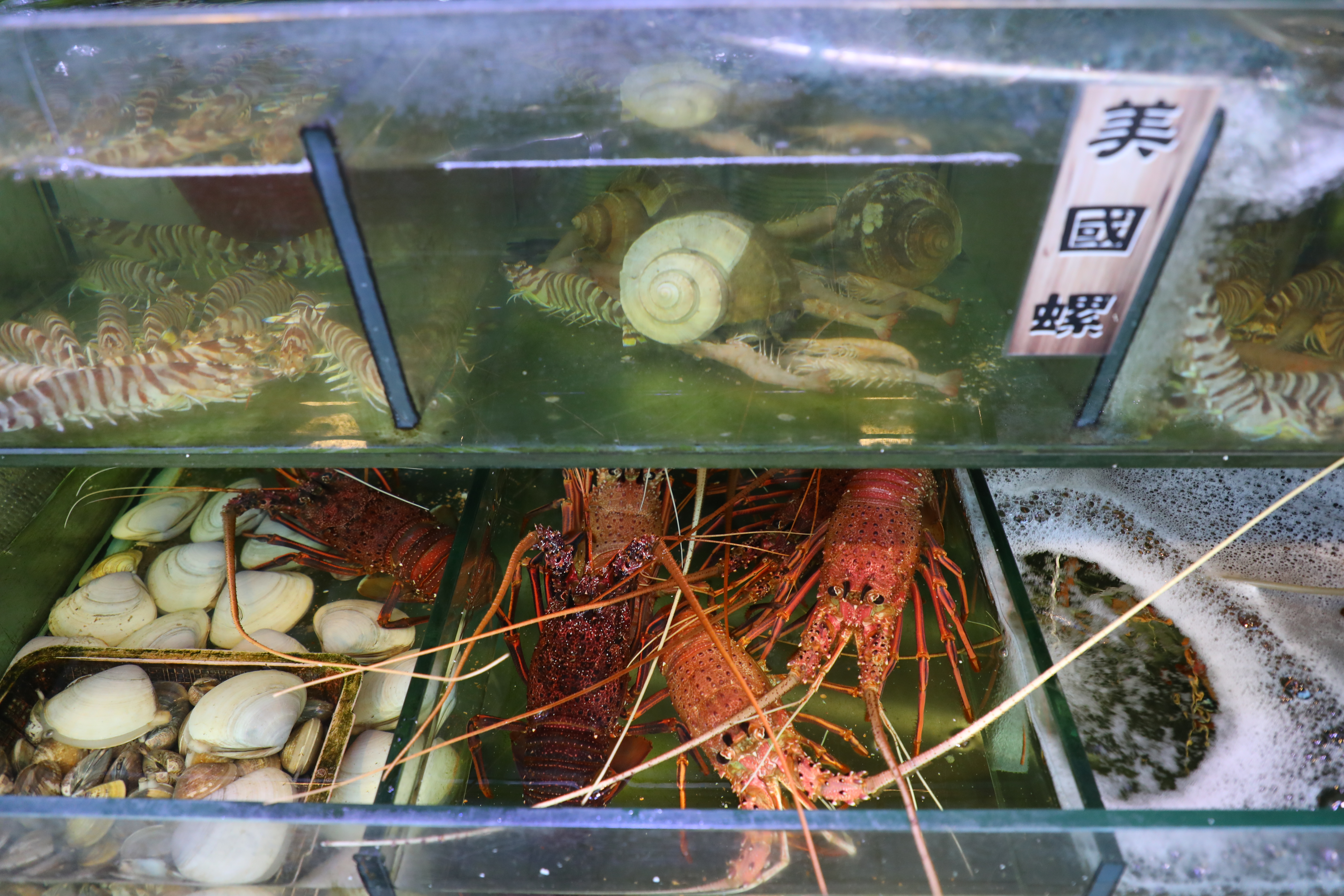 厚福館還有各種龍蝦、明蝦及螺貝類，新鮮度肉眼可見。