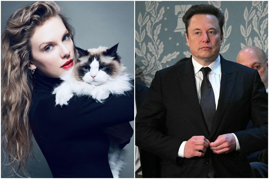 泰勒絲（左圖）自稱「無子女的貓女士」挺賀錦麗，馬斯克（右圖）竟回「我會給妳一個孩子」。（翻攝自IG@taylorswift、X平台@elonmusk）