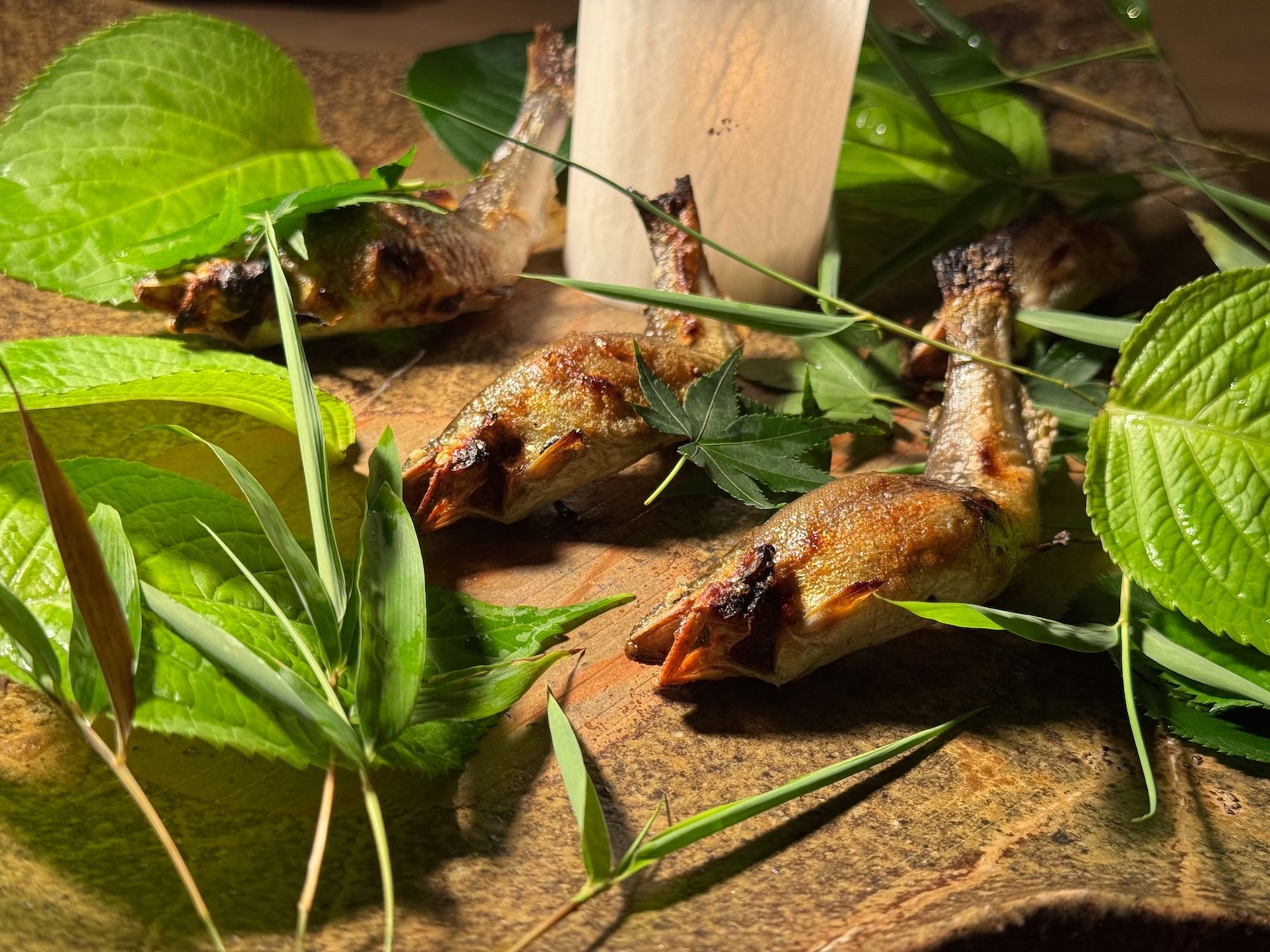 長岡主廚將香魚藏身草本植物間，在盤中重現夏季溪流景象。（豊漁餐飲集團提供）
