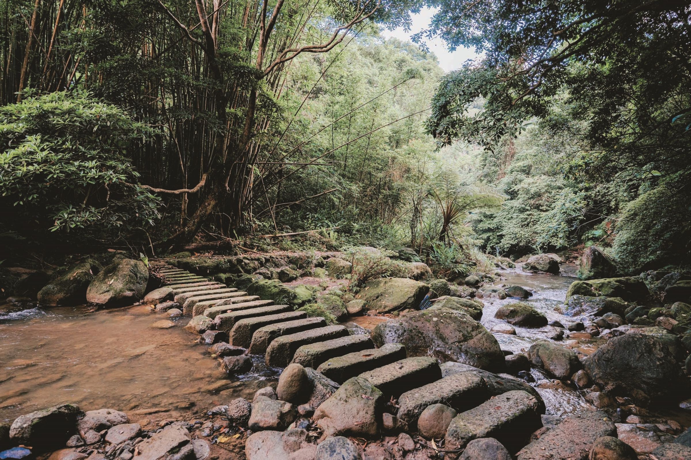 關西四寮溪生態步道。(新竹縣政府提供)
