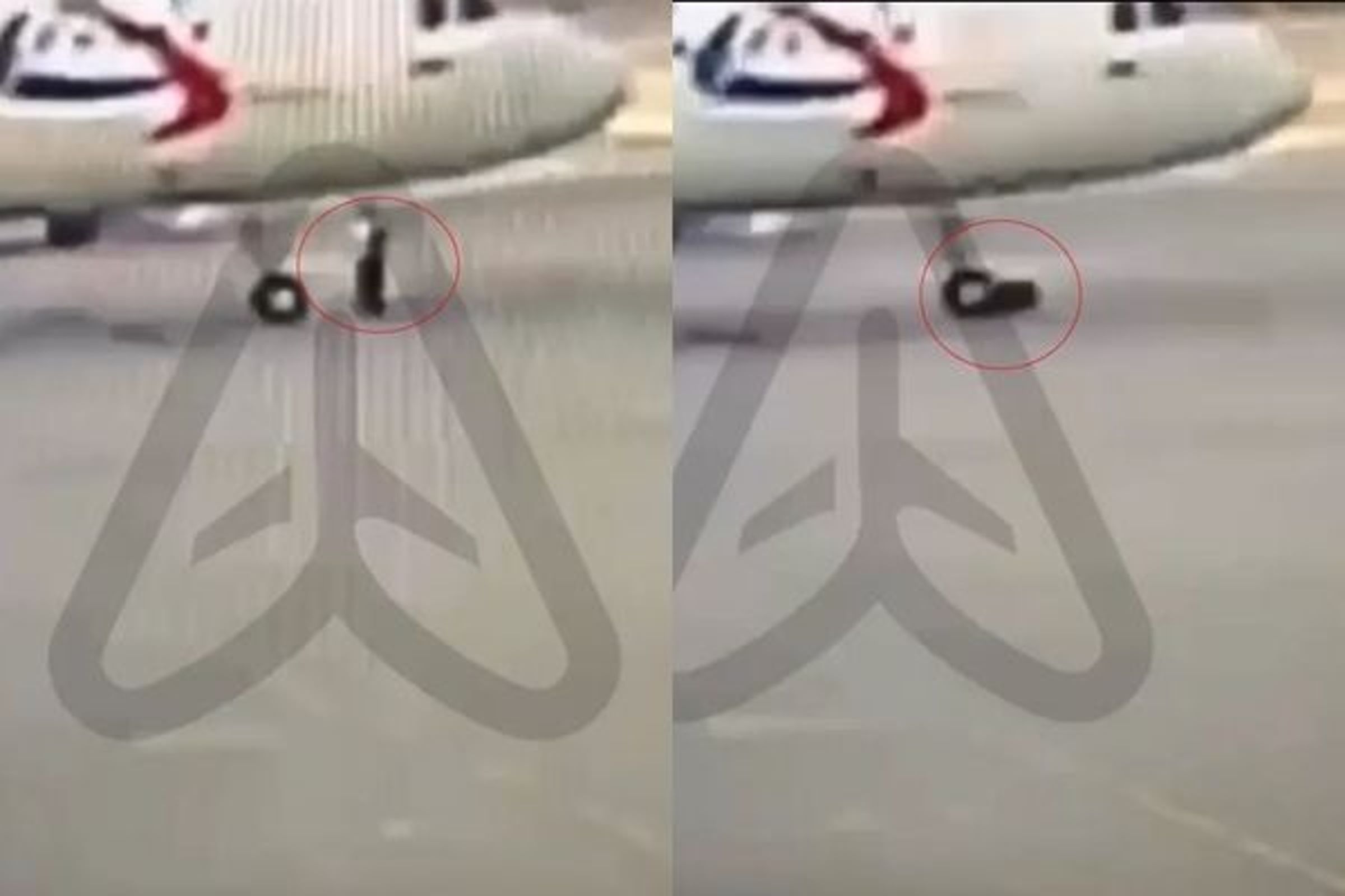 地勤人員突遭飛機輾過，驚悚影片曝光！他幸運存活樂觀面對截肢。（翻自《太陽報》）