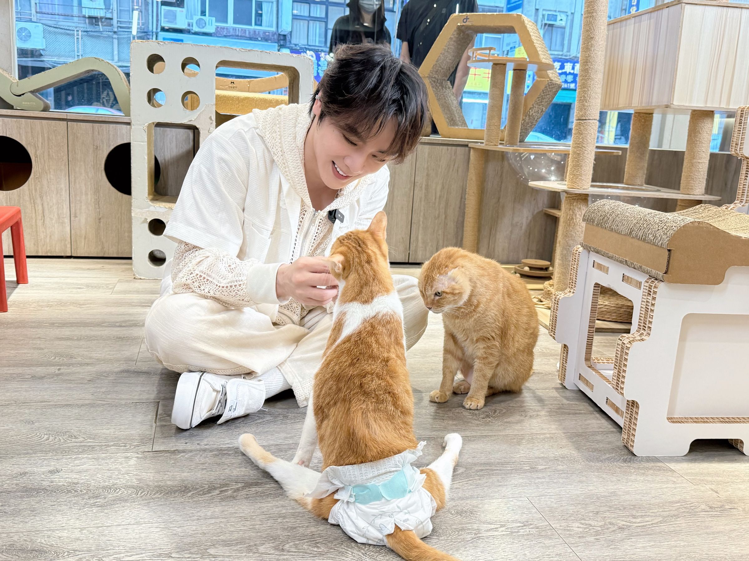 古曜威暖心喊話要大家重視浪貓。（圖／ 貓咪也瘋狂公益協會提供）
