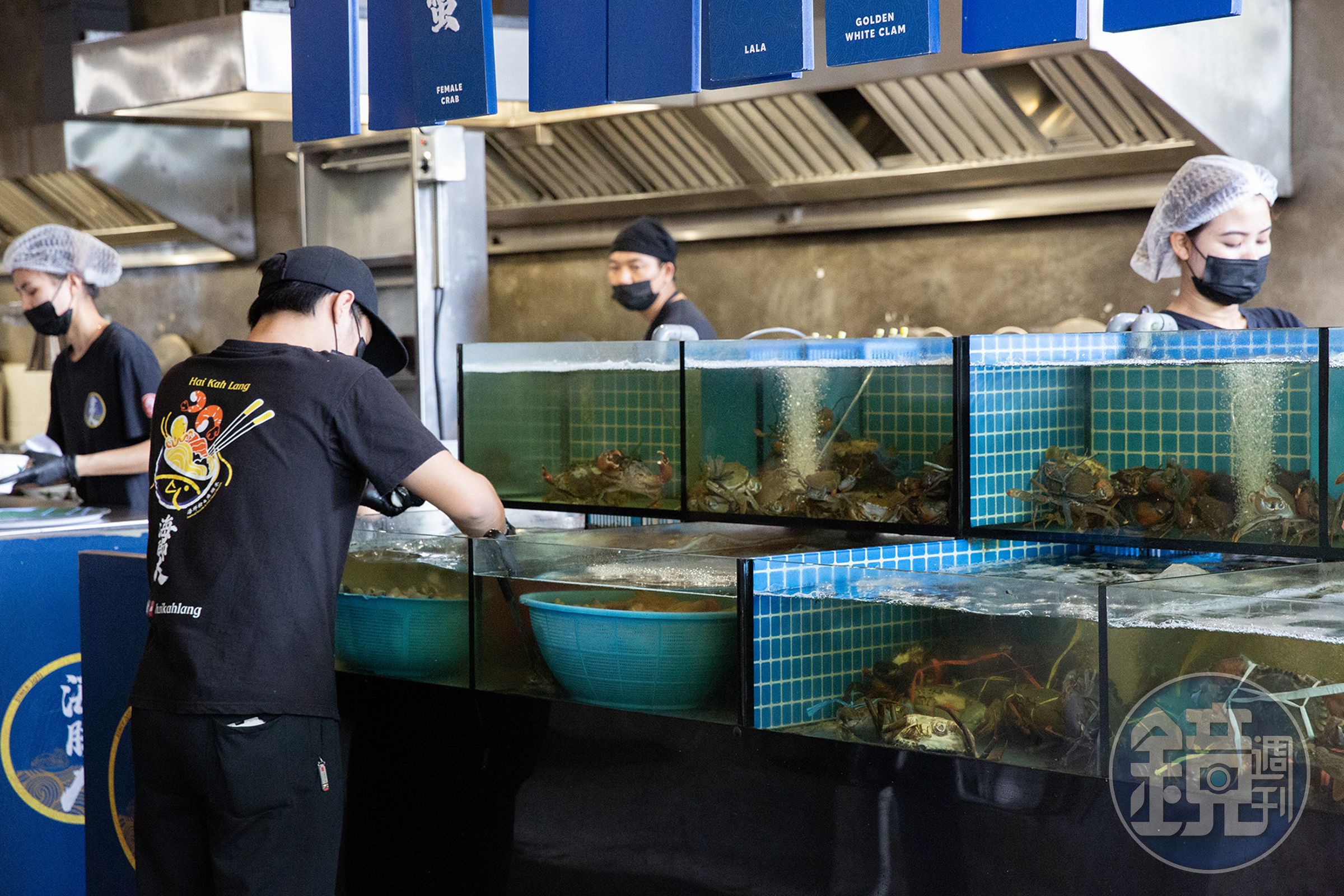 餐廳為開放式廚房,並在入口處擺放大量海鮮櫃,突顯其食材的新鮮。