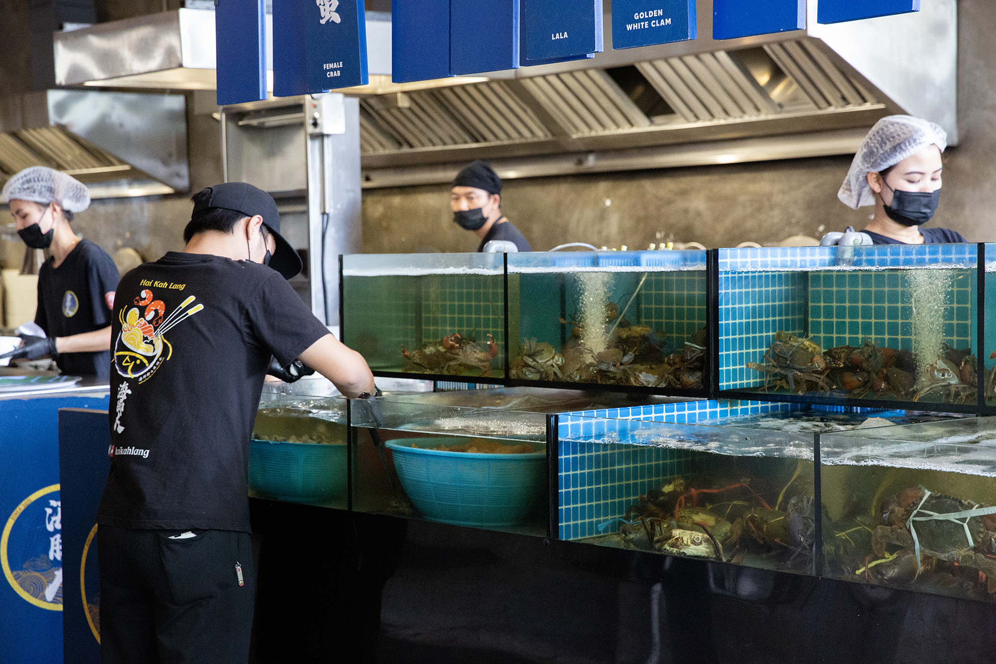 餐廳為開放式廚房，並在入口處擺放大量海鮮櫃，突顯其食材的新鮮。