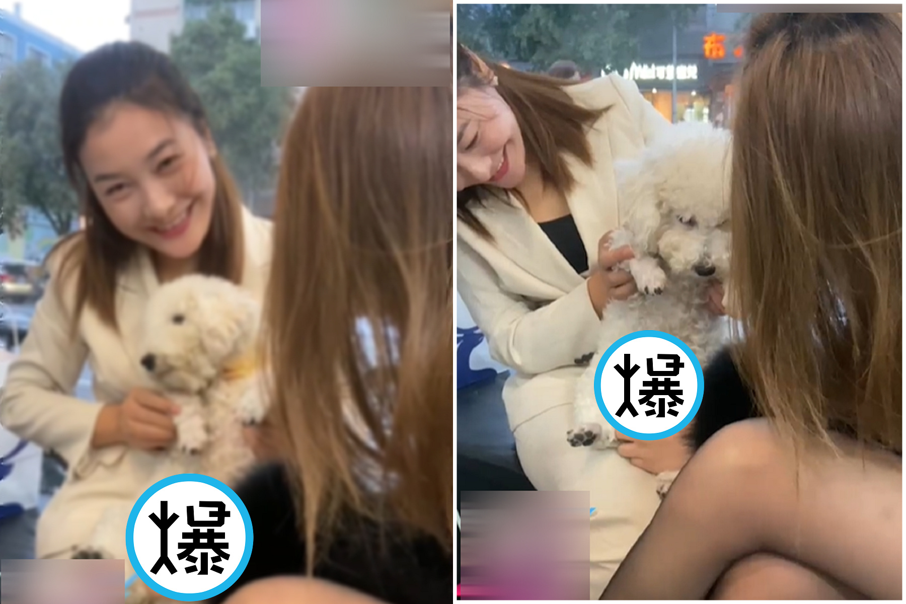 公狗下體「凸凸」被正妹包夾搓揉，網喊：放開那隻狗換我來！（翻自《51吃瓜網》）