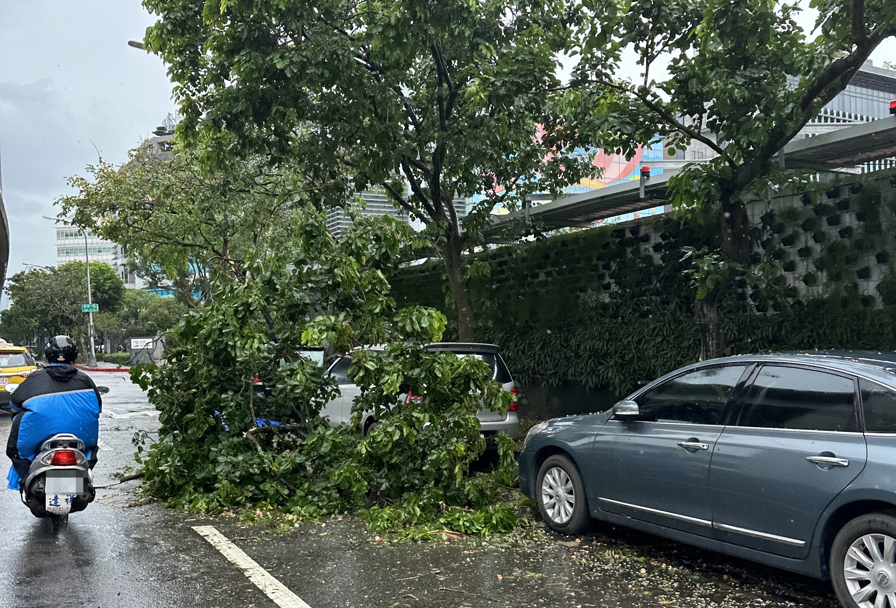 颱風康芮強襲台灣，造成全台各地都有災損。