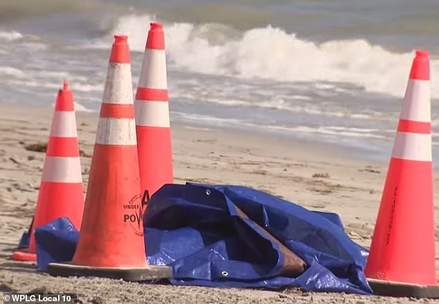 警方正調查死者身分。（翻自《每日郵報》）