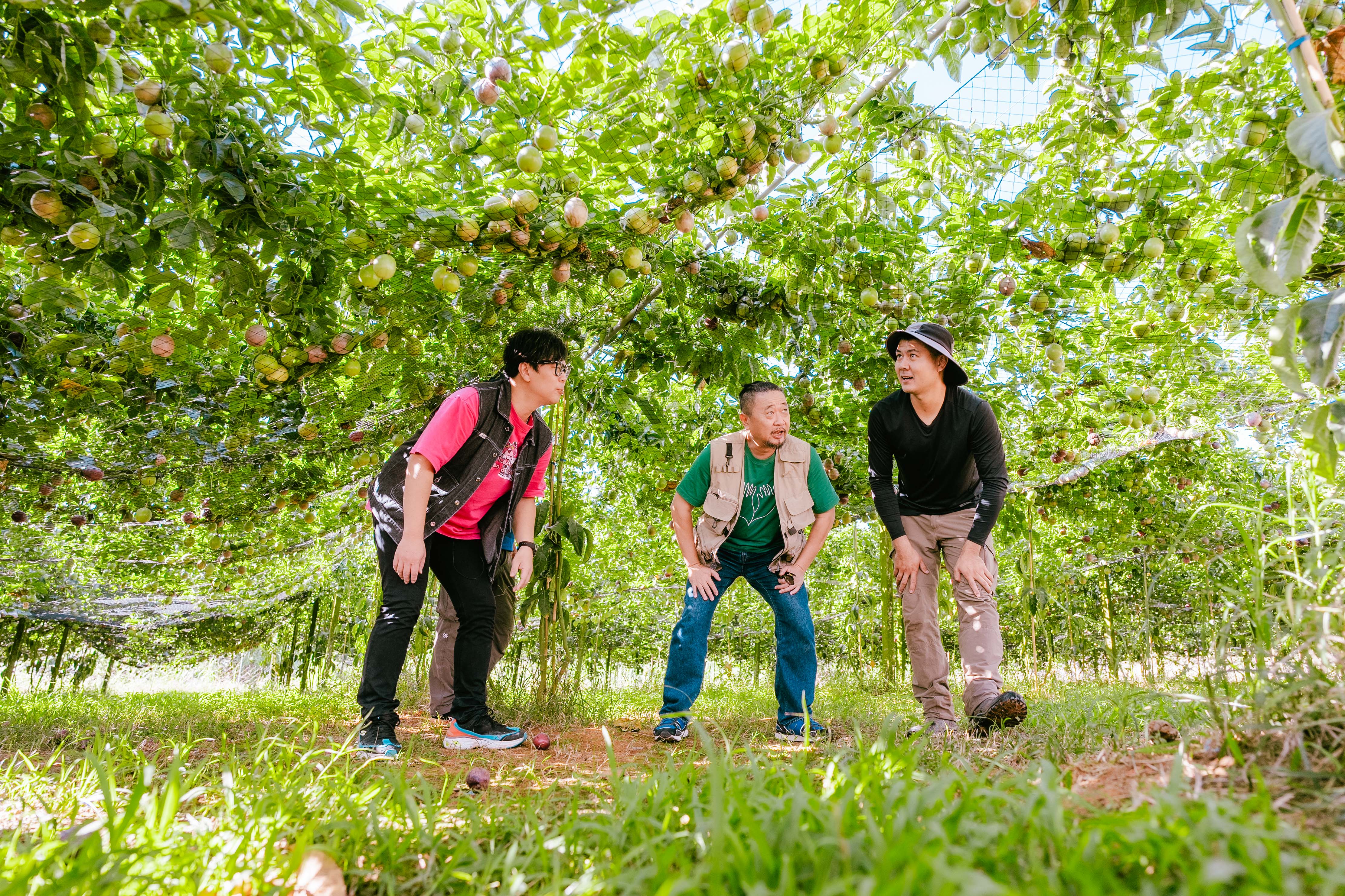 邰智源與邵大倫攜手主持公視台語旅遊訪鄉節目《來去恁兜洗魂舒》。（公視台語台提供）