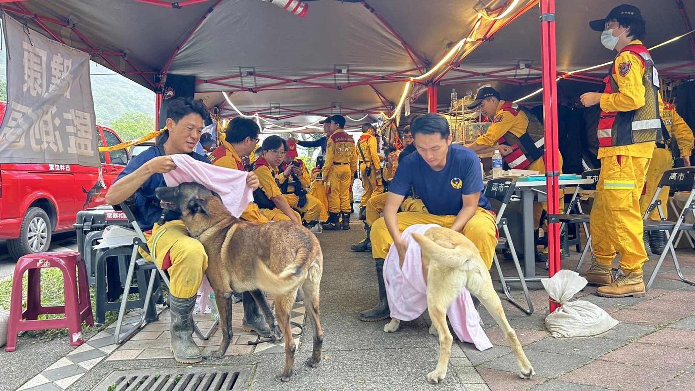 領犬員貼心地幫狗狗擦乾身體,避免感冒。(翻攝自搜救犬「羅傑計劃」臉書)