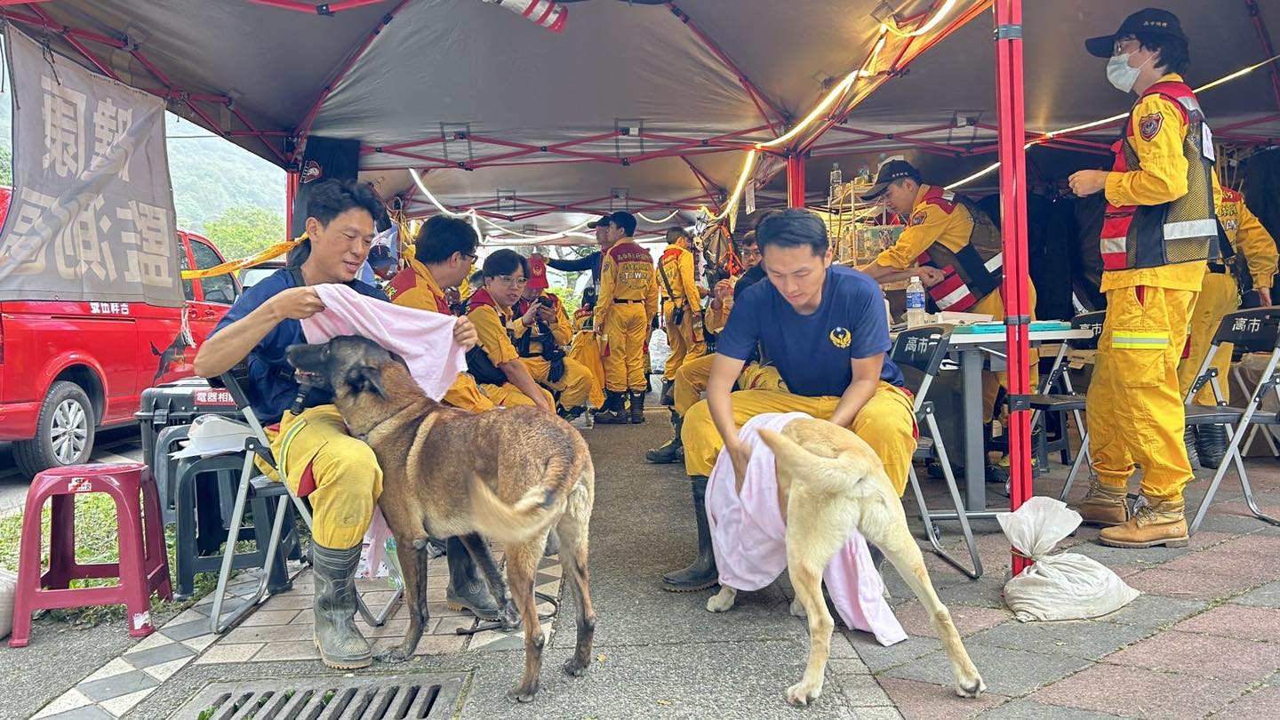 領犬員貼心地幫狗狗擦乾身體,避免感冒。(翻攝自搜救犬「羅傑計劃」臉書)