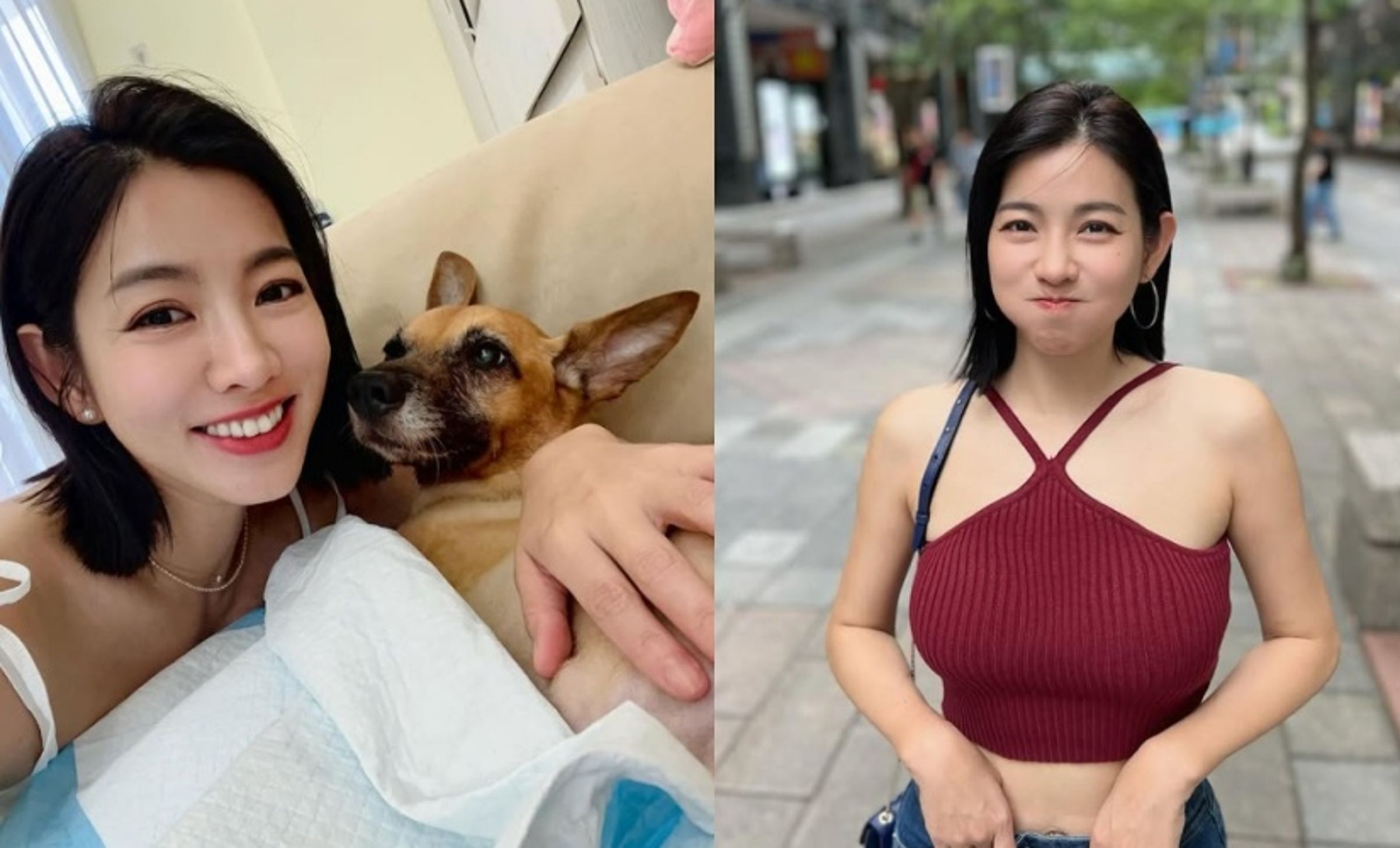 侯友宜曾誤將米可白愛犬「錢錢」叫成米可白,未料近日米可白又再被「叫成狗」。(翻攝自instagram/mimi00419)