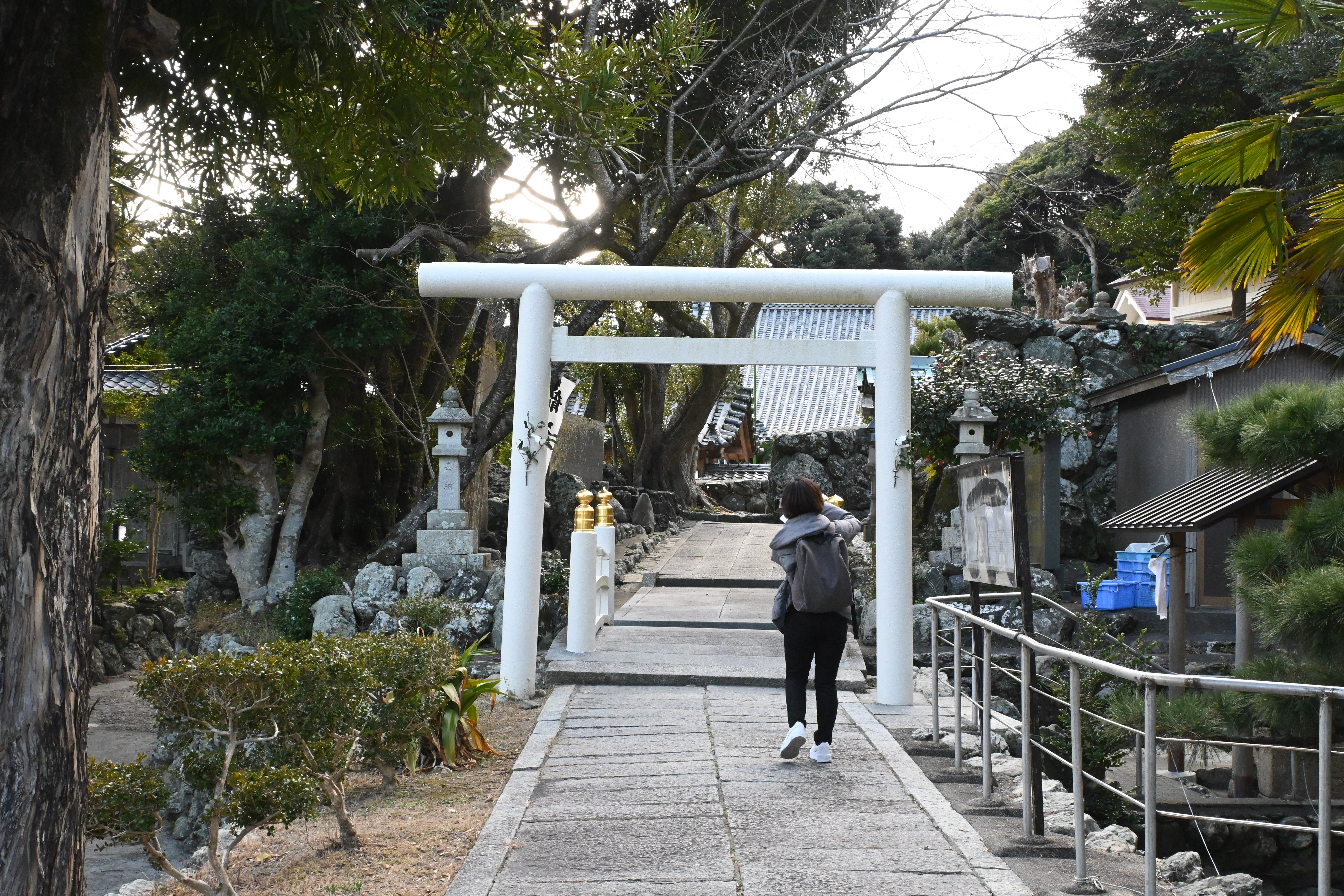 「美多羅志神社」位於答志島北部，是當地重要神社之一，祈求子嗣以及五穀豐登特別靈驗。
