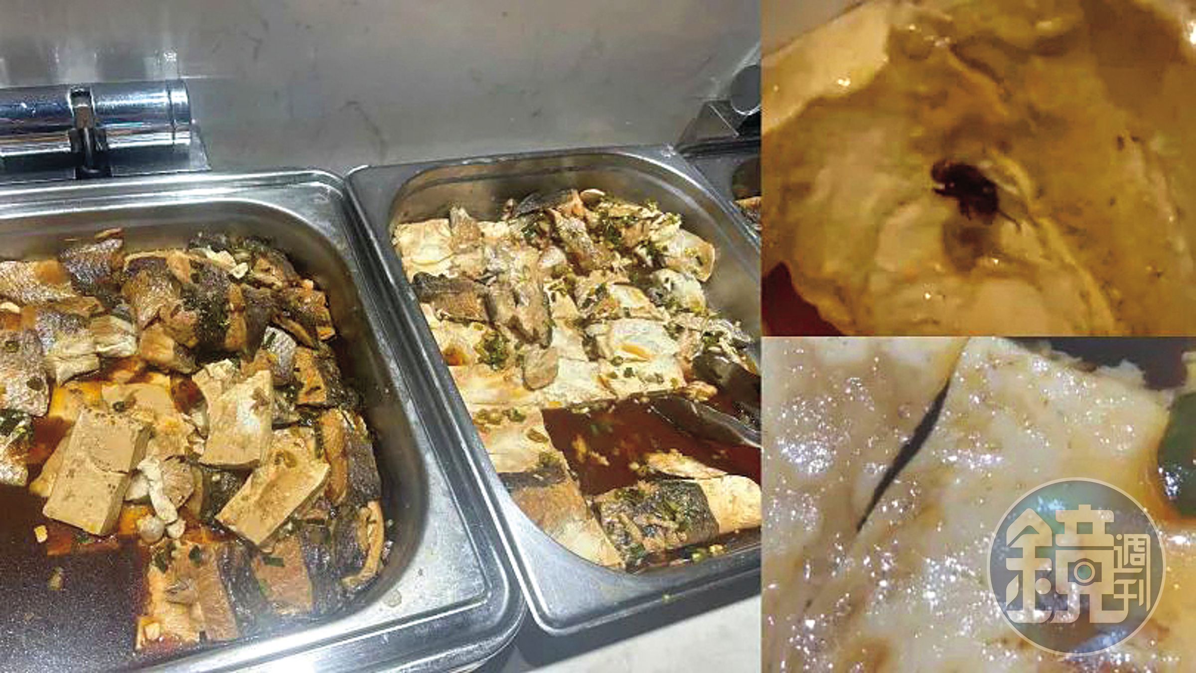 今年8月,樂天的伙食被爆出有死蒼蠅、活蛆,還鬧上媒體。(讀者提供)
