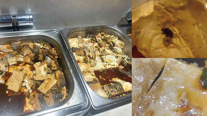 今年8月，樂天的伙食被爆出有死蒼蠅、活蛆，還鬧上媒體。（讀者提供）