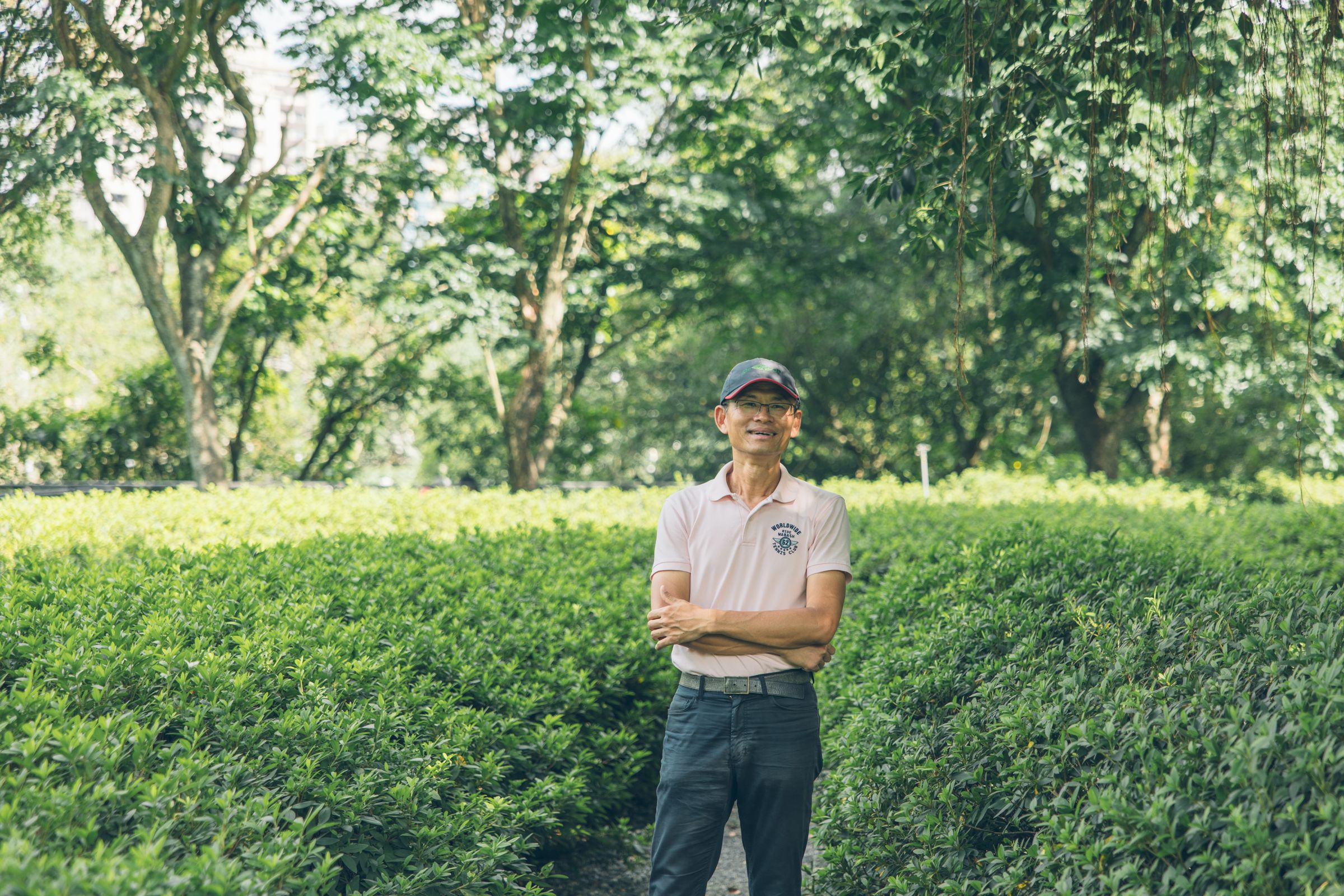 大安森林公園的植物長得健康茂盛，副執行長陳鴻楷邀請大家常來走走。（大安森林公園之友基金會提供）