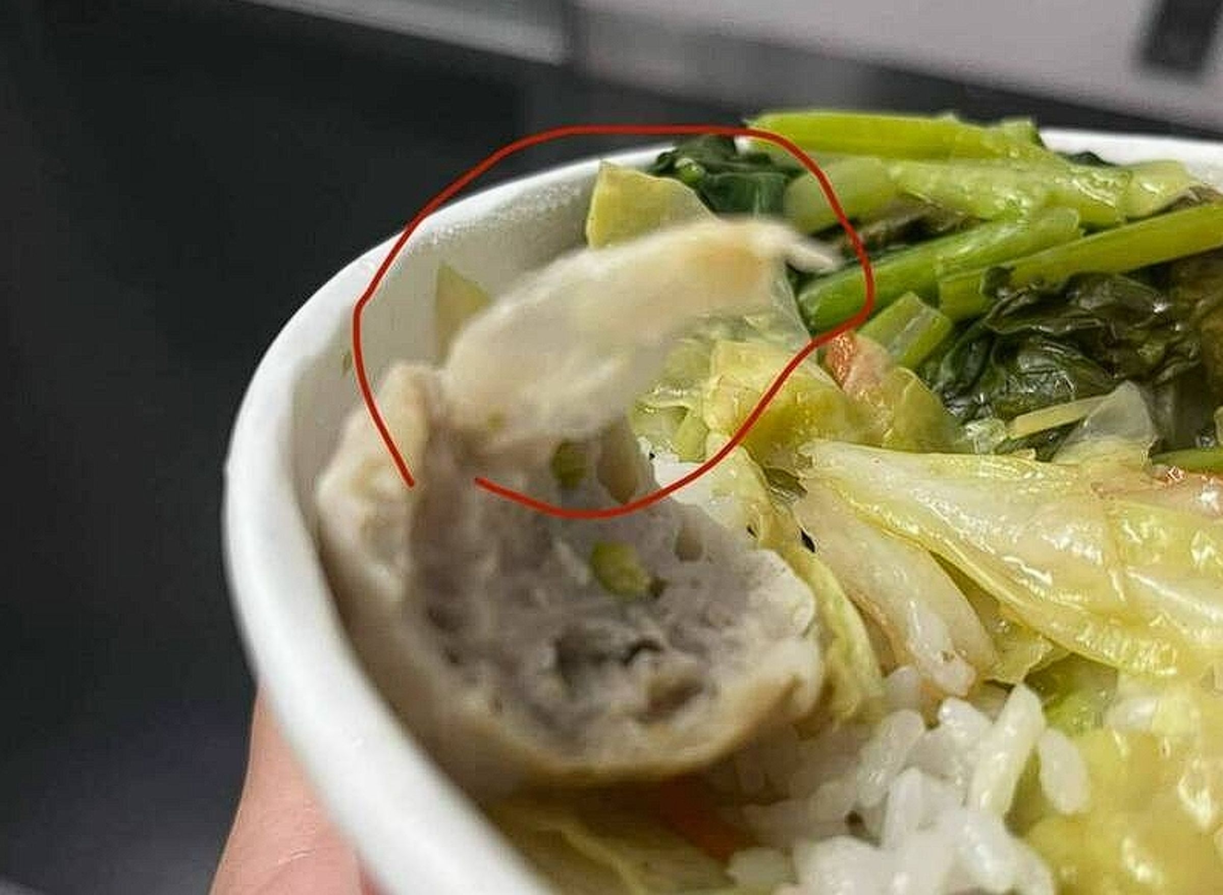 台鐵便當被爆出貢丸內有異物,台鐵公司致歉表示經調查後供應商坦言有生產疏失,已停用剩餘庫存並對廠商進行開罰。(翻攝臉書)