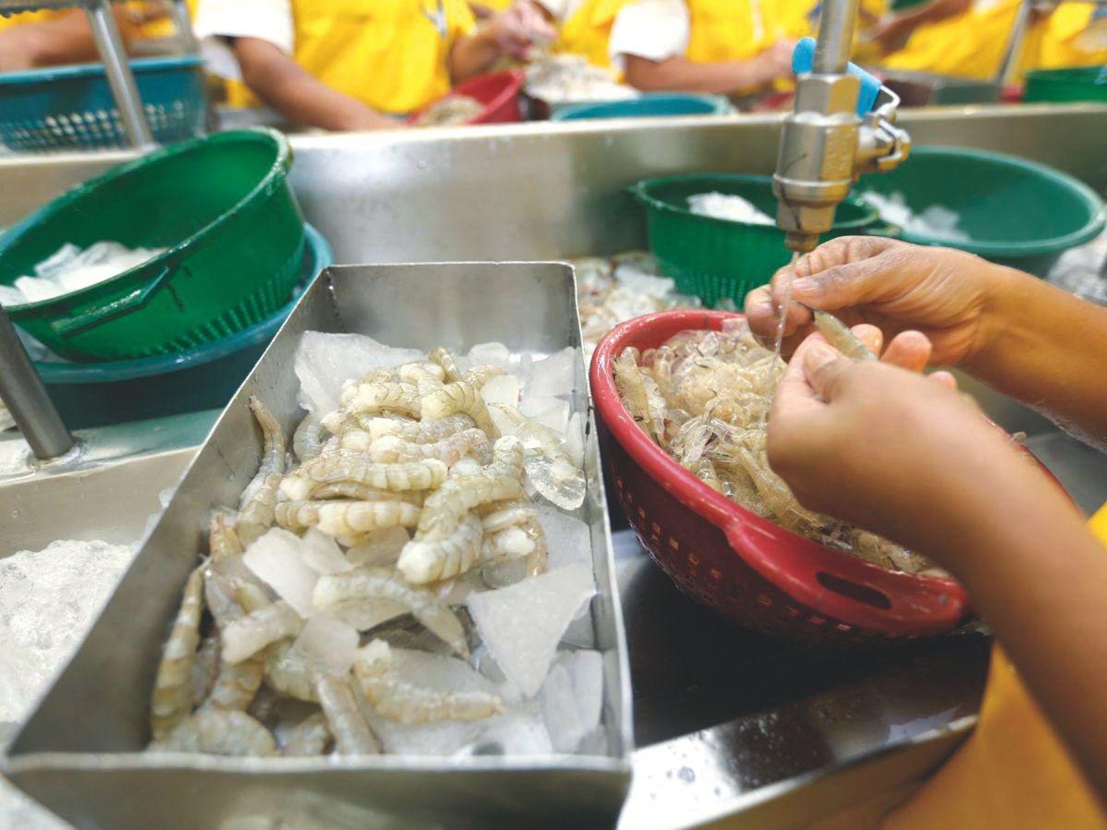 宏都拉斯「擁抱中國」拖垮經濟！業界轟失敗　反對派想與台復交