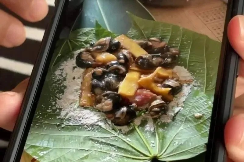 台東縣金峰鄉一處部落今（18日）發生疑似食用「蝸牛小米粽」食物中毒事件。（翻攝畫面）