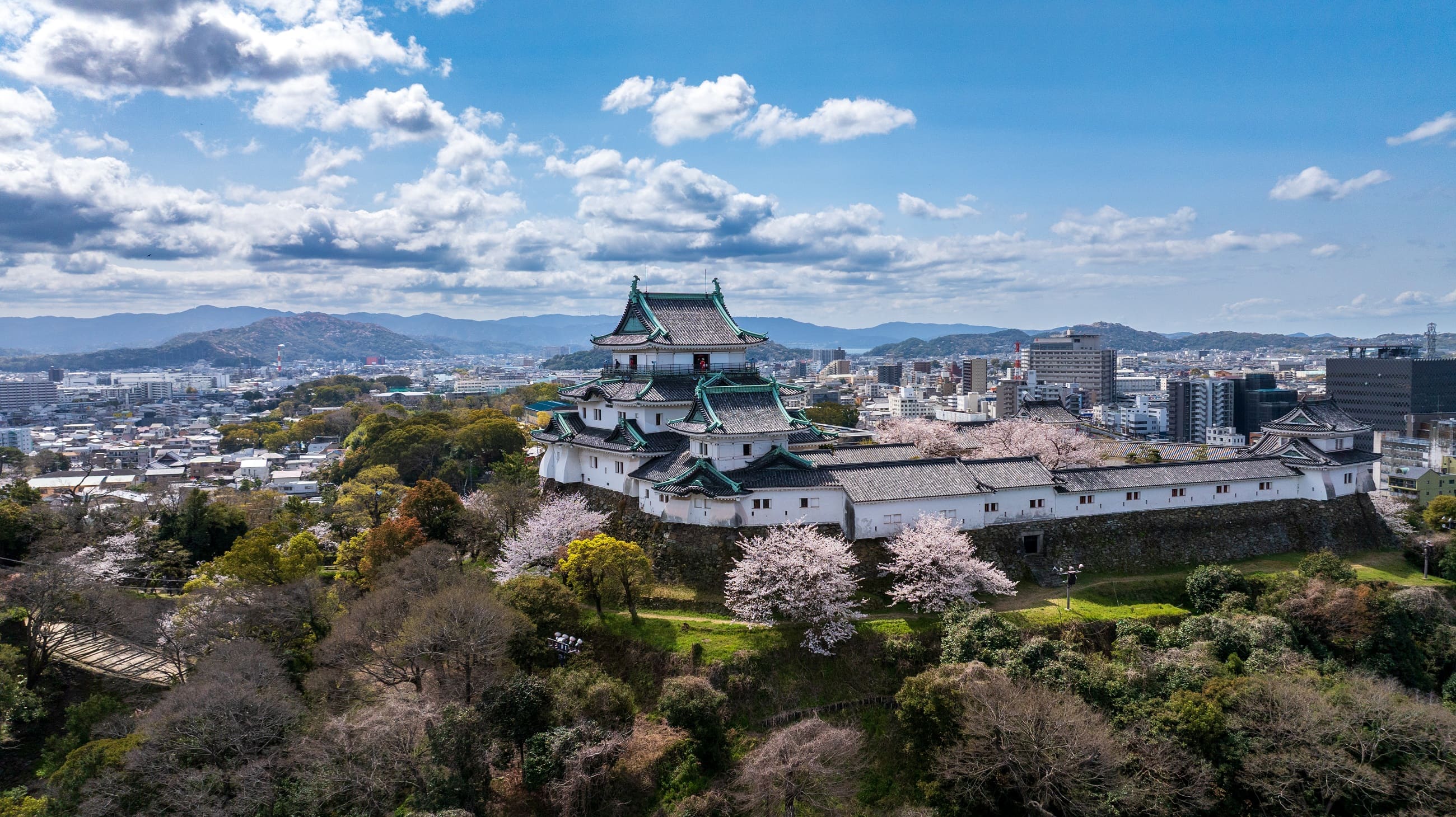 發財了!和歌山市收「市值破億」黃金捐款 指定1用途與豐臣秀吉有關