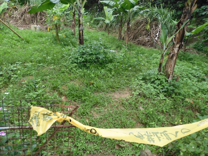 軍人公墓旁農地發現遺體。（警方提供）