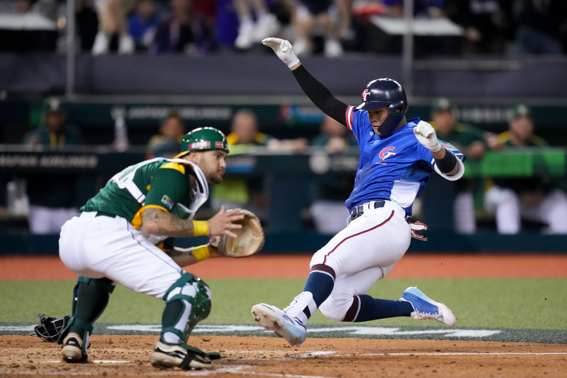 WBCQ資格賽22日台灣隊對上南非，宋晟睿跑出15秒場內全壘打。（中華棒協提供）